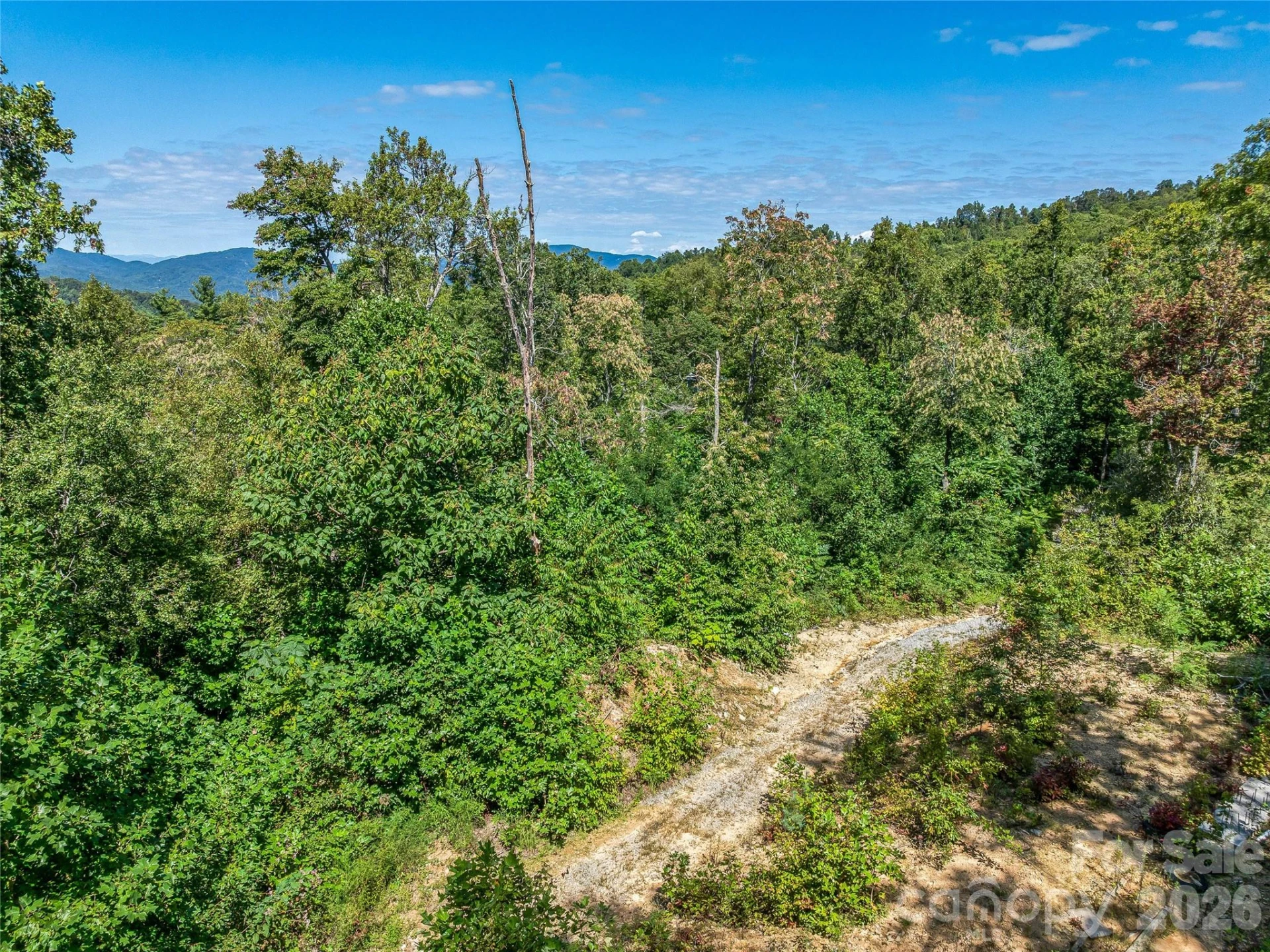 632 Justus Case Mountain Place - Photo 21