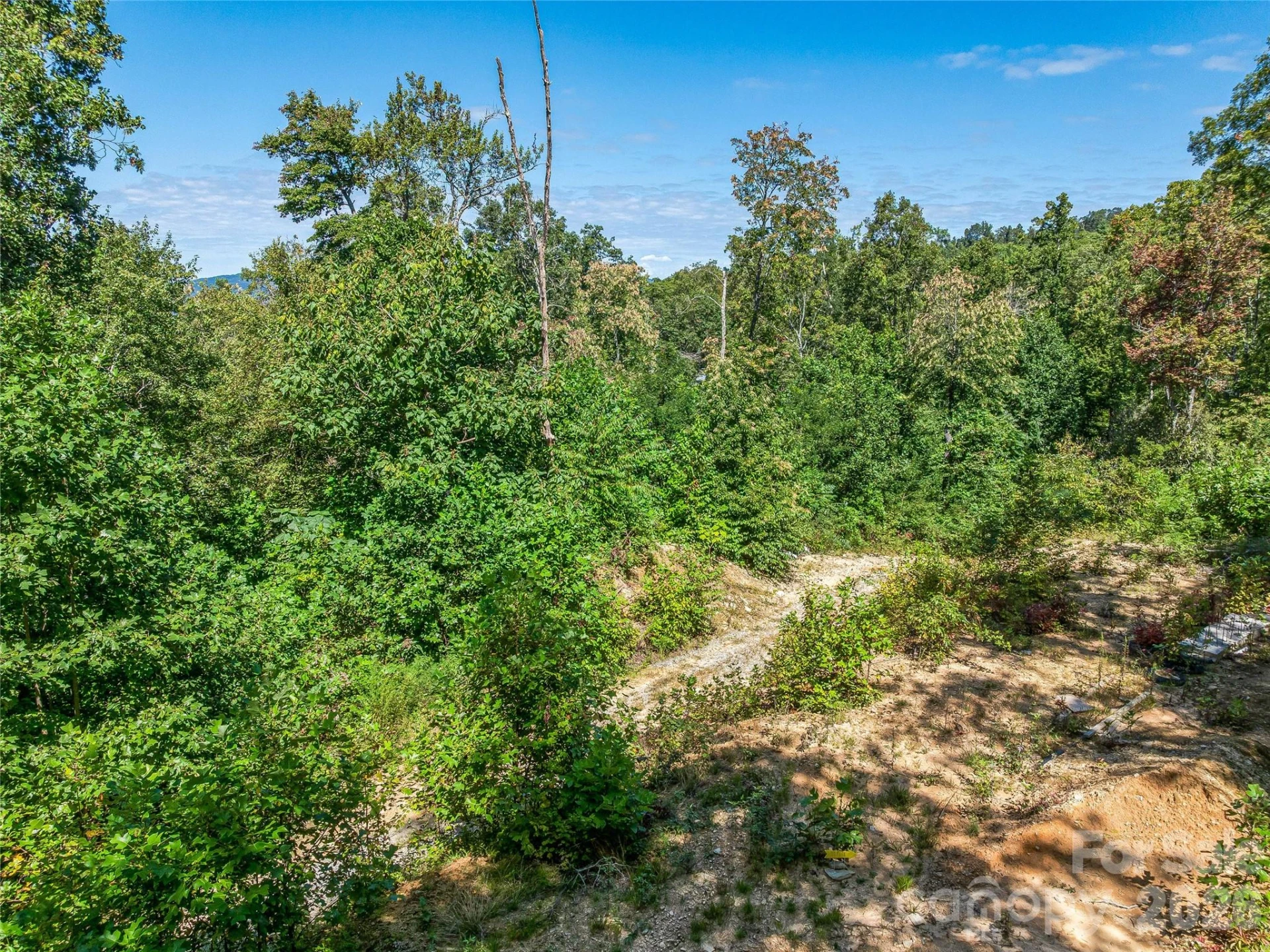 632 Justus Case Mountain Place - Photo 22