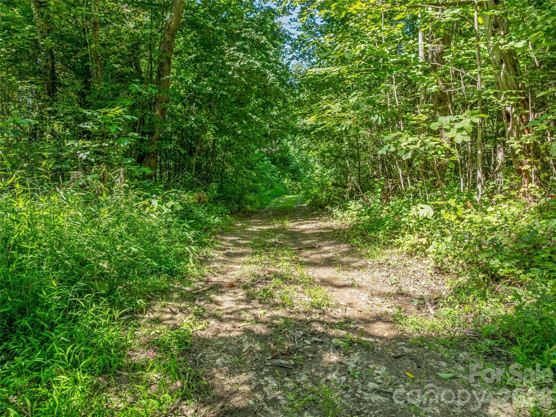 632 Justus Case Mountain Place - Photo 24