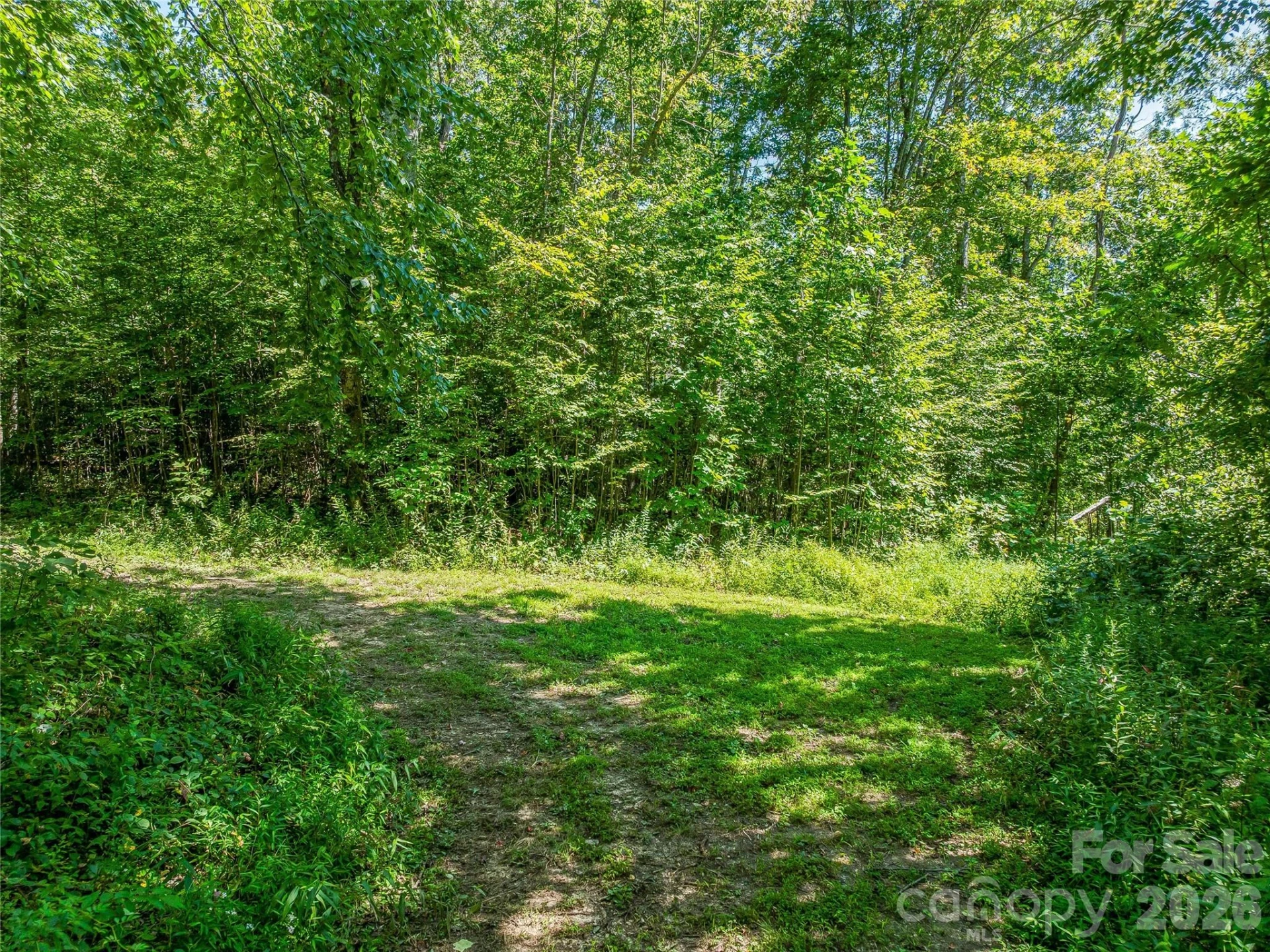 632 Justus Case Mountain Place - Photo 25