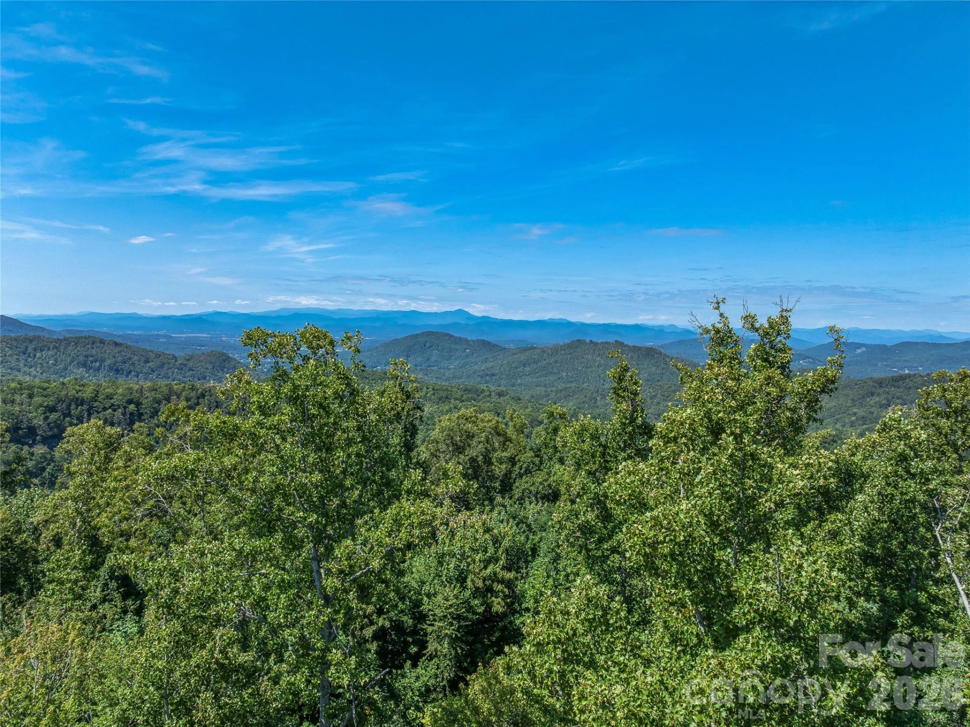 632 Justus Case Mountain Place - Photo 27