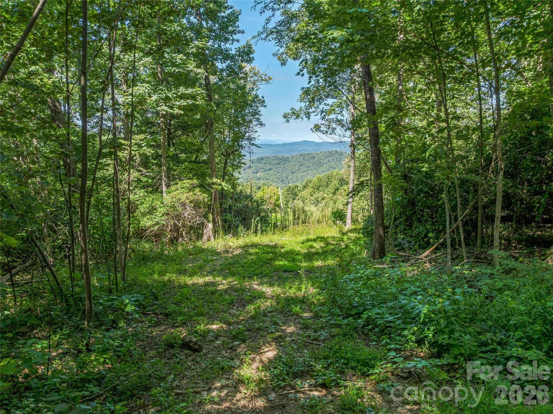632 Justus Case Mountain Place - Photo 28