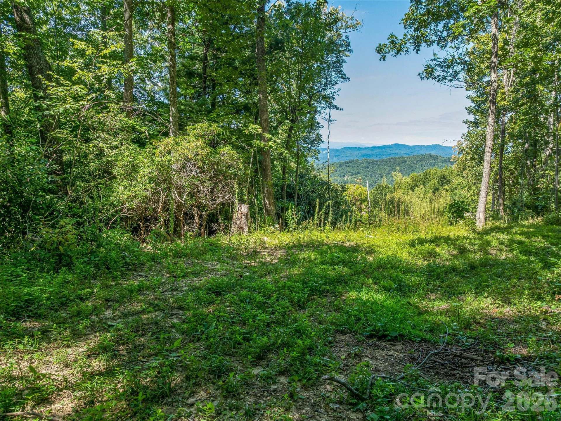 632 Justus Case Mountain Place - Photo 29