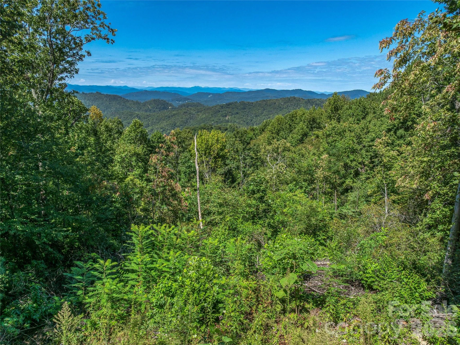 632 Justus Case Mountain Place - Photo 30