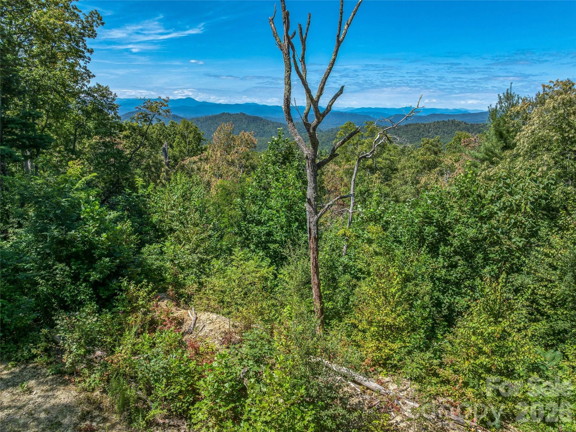 632 Justus Case Mountain Place - Photo 4