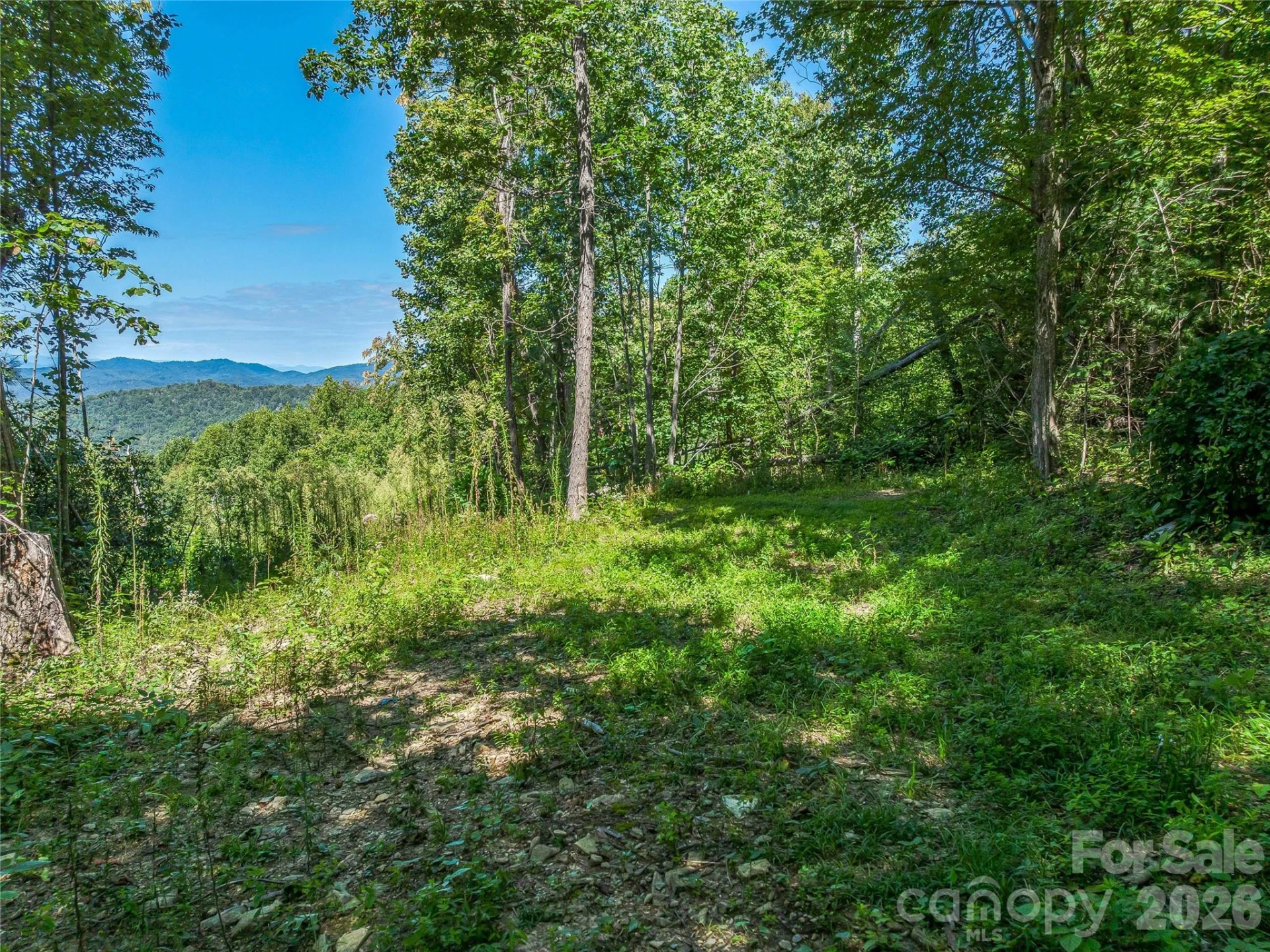 632 Justus Case Mountain Place - Photo 31