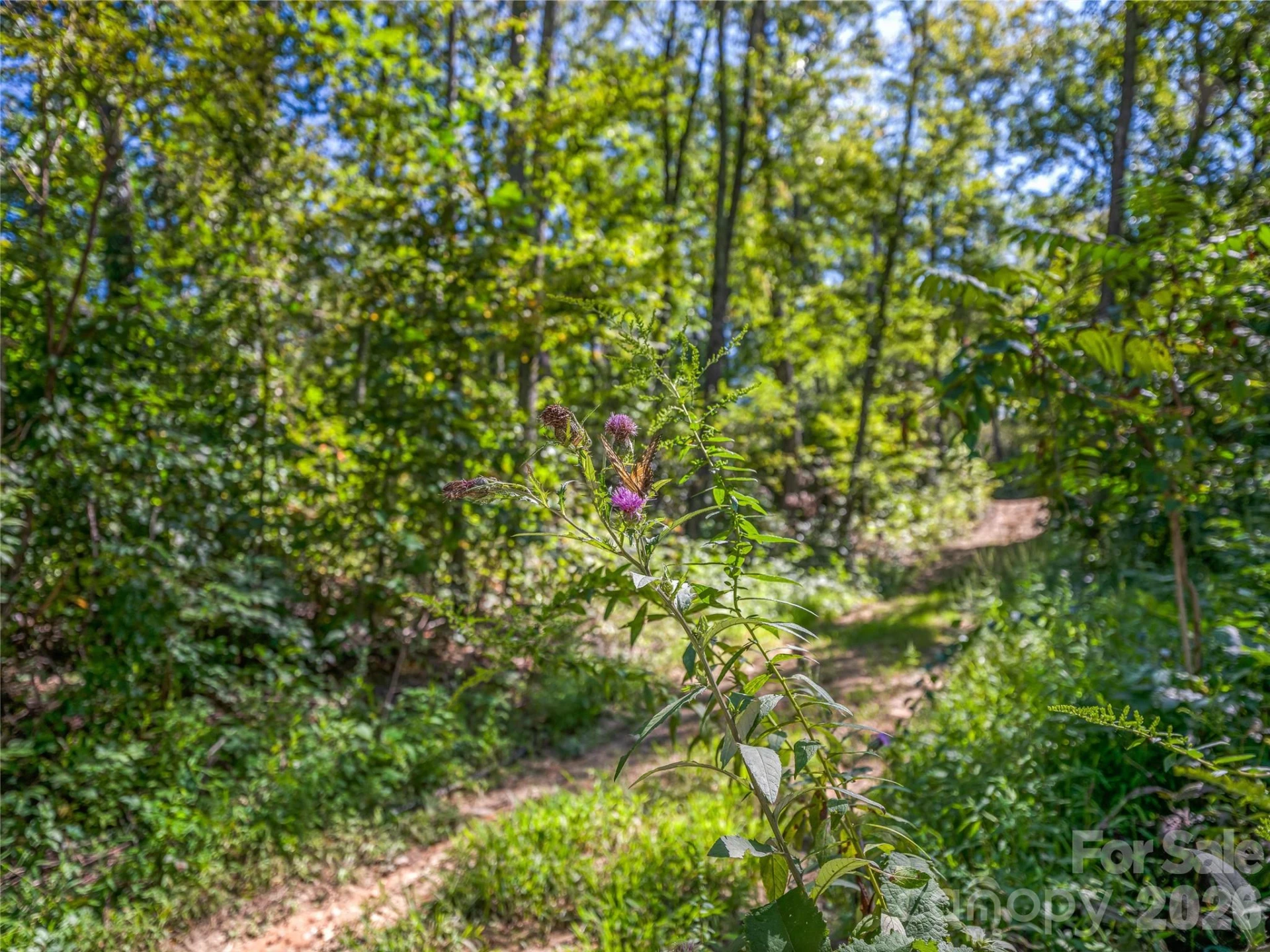 632 Justus Case Mountain Place - Photo 34
