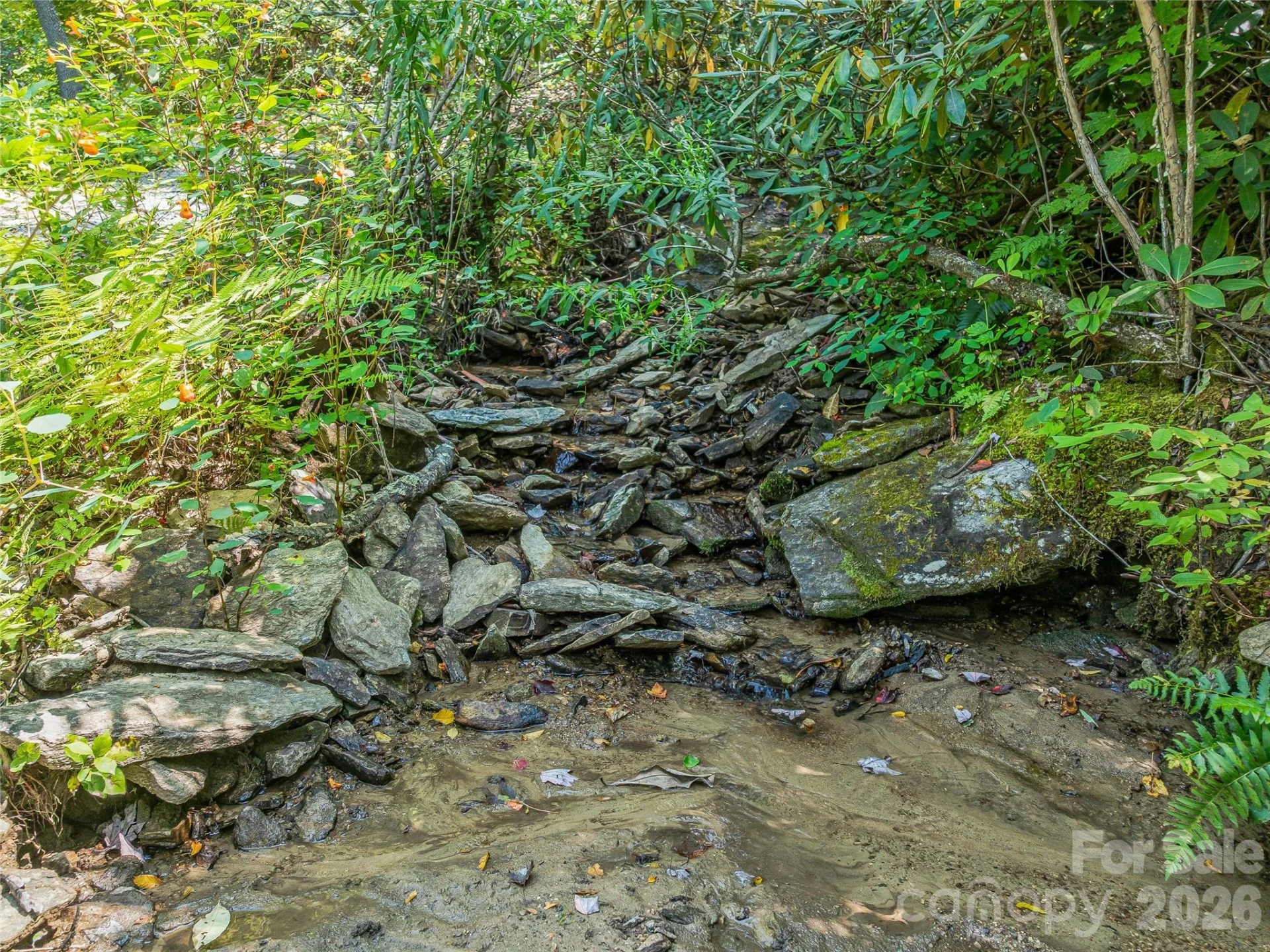 632 Justus Case Mountain Place - Photo 36