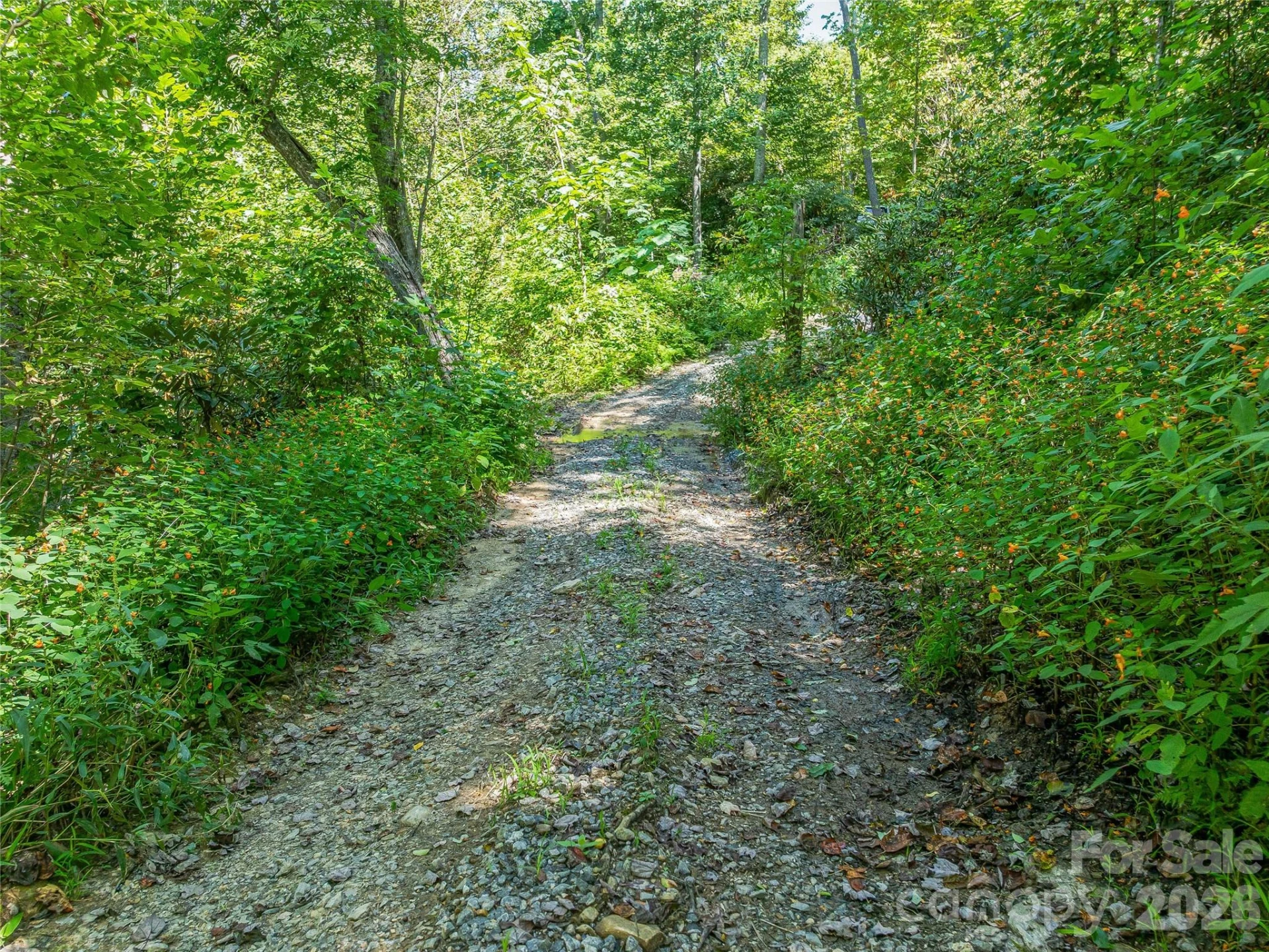632 Justus Case Mountain Place - Photo 37