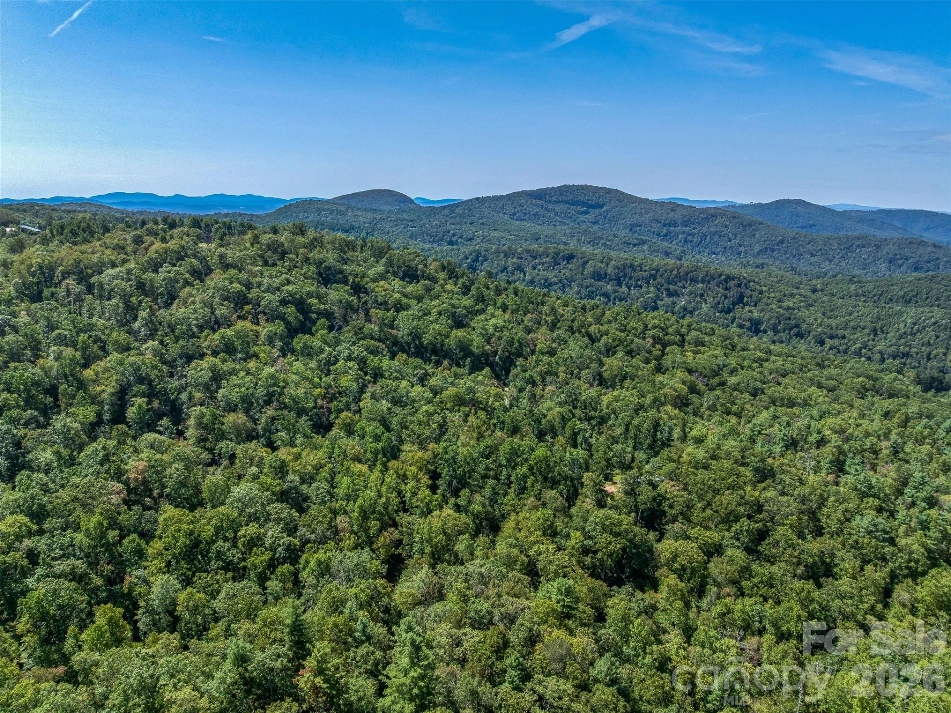 632 Justus Case Mountain Place - Photo 38