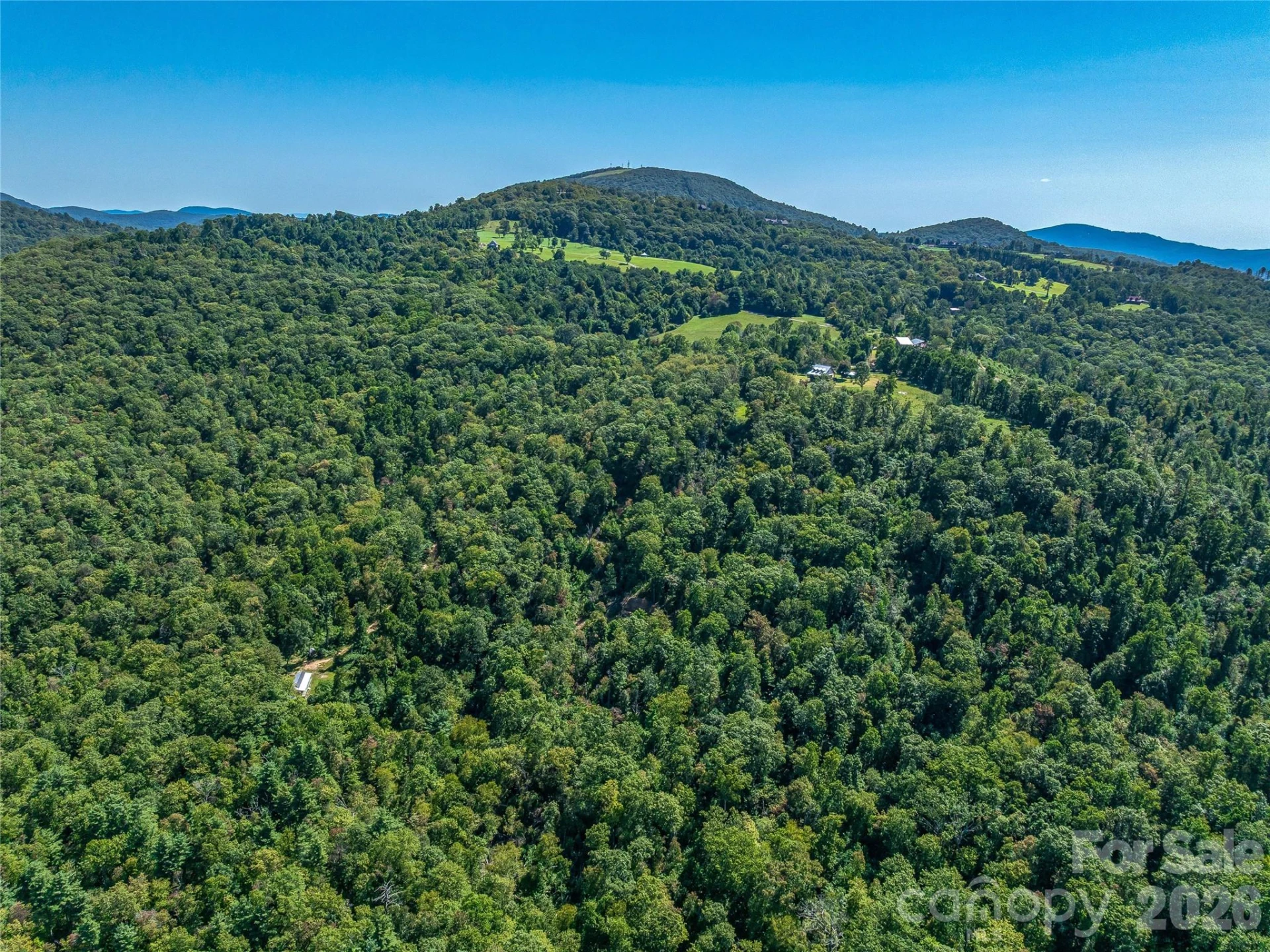 632 Justus Case Mountain Place - Photo 40