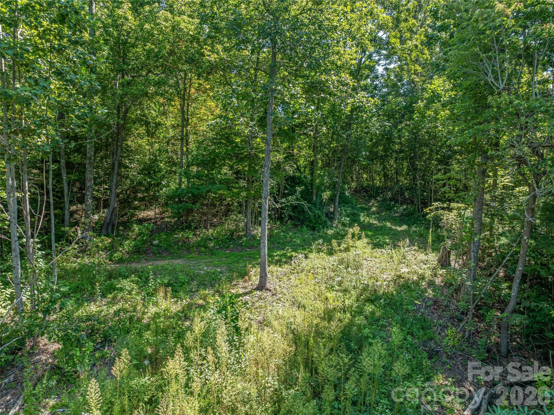632 Justus Case Mountain Place - Photo 5