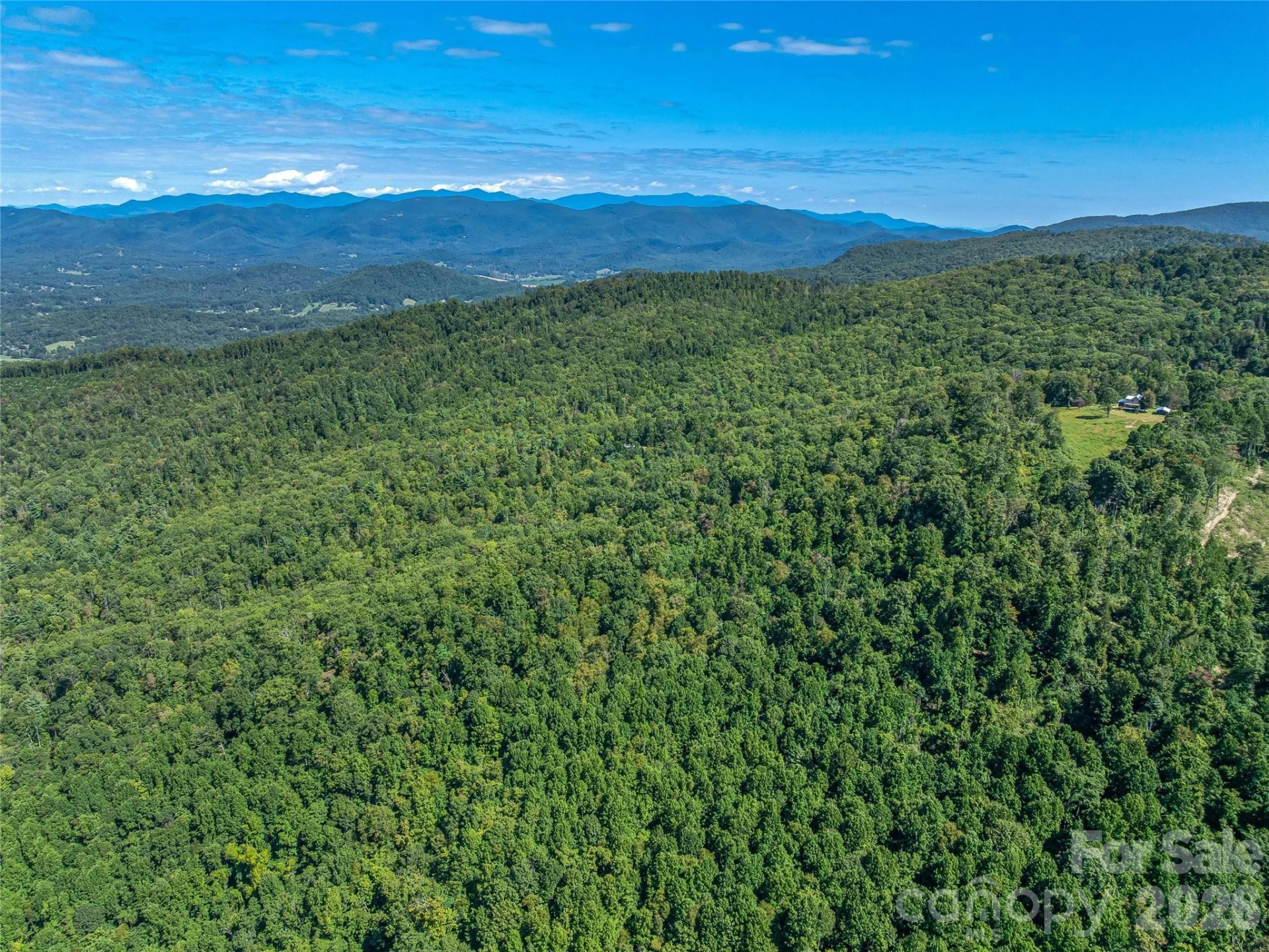 632 Justus Case Mountain Place - Photo 42