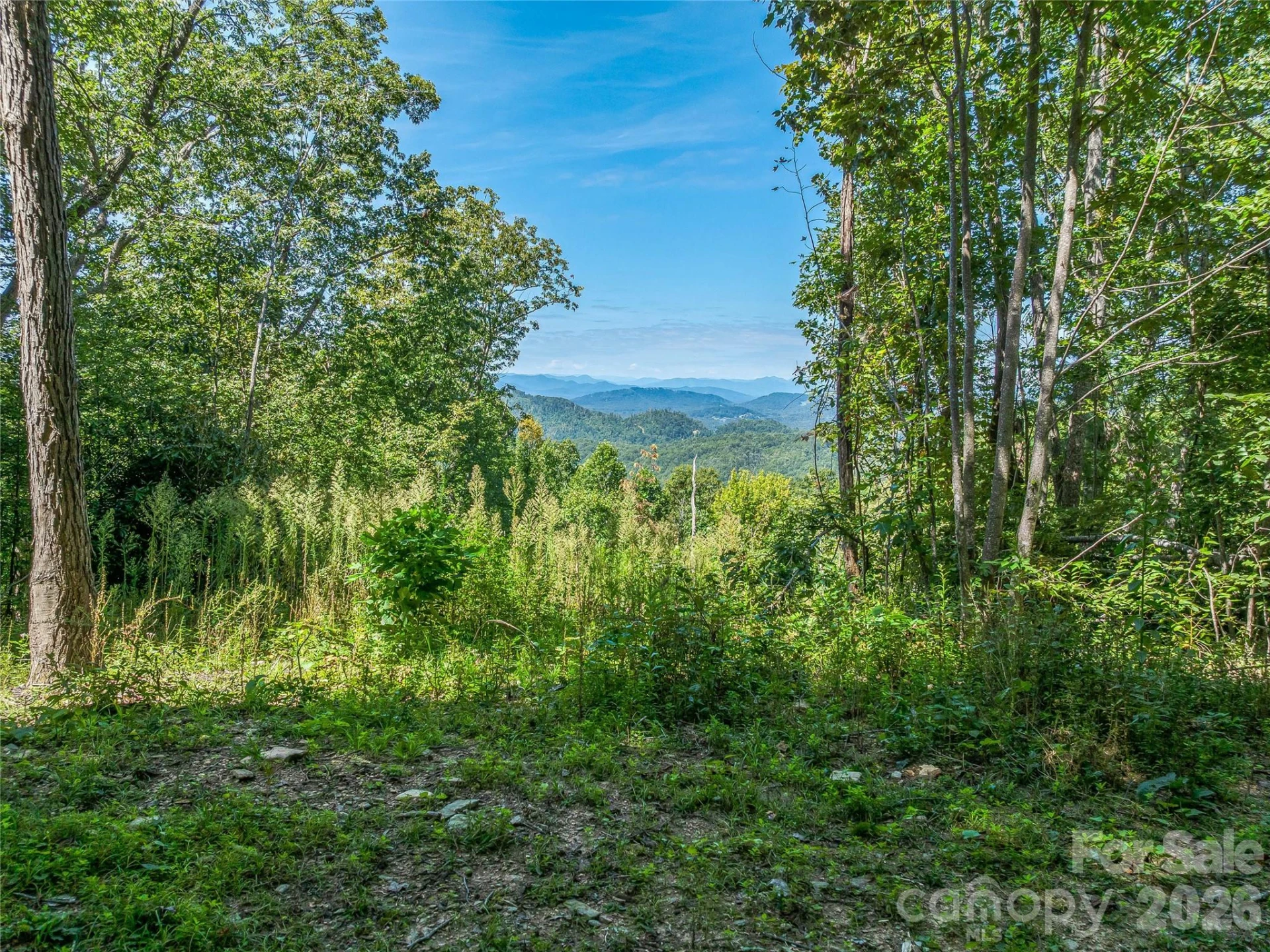 632 Justus Case Mountain Place - Photo 6