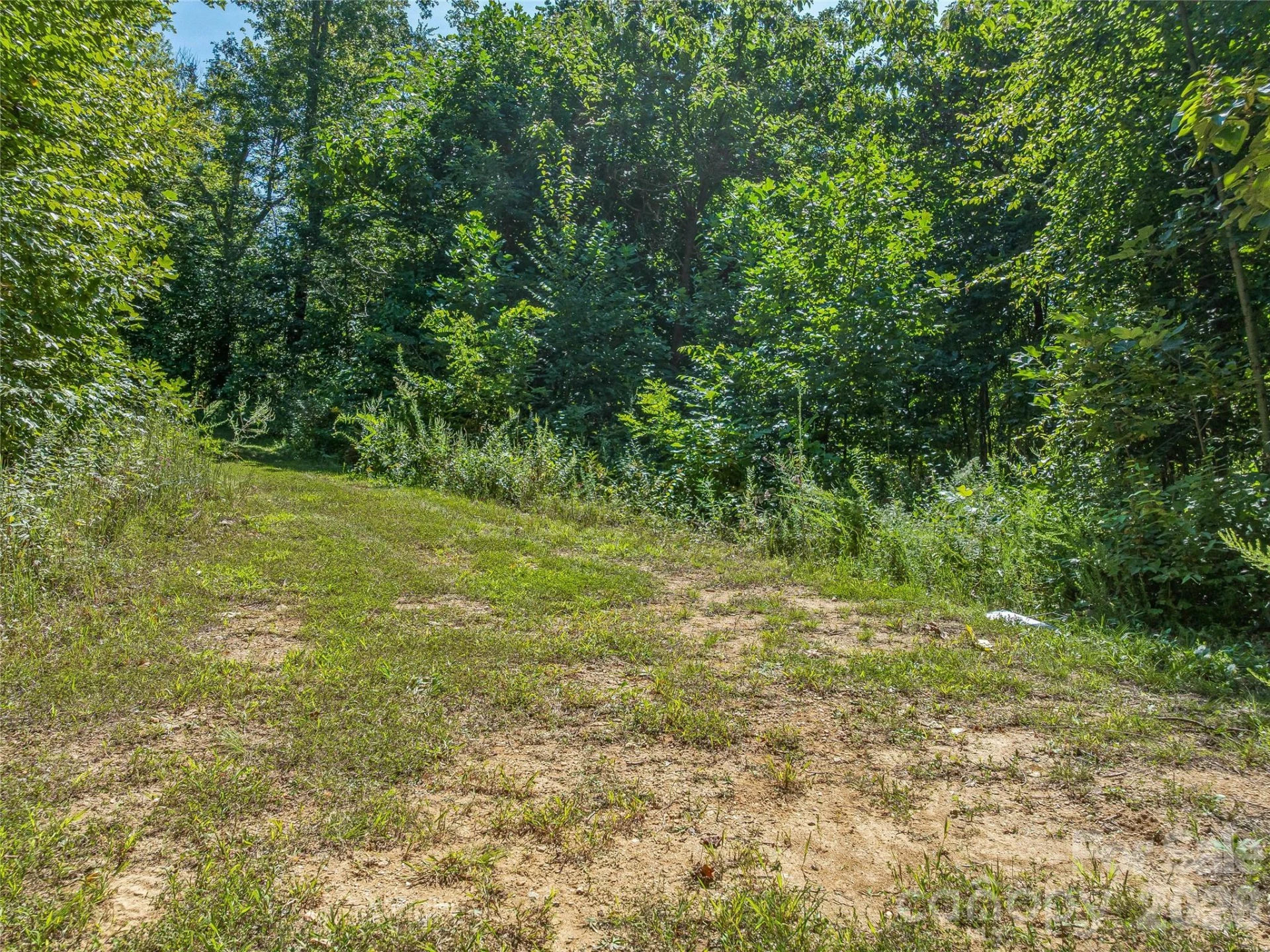 632 Justus Case Mountain Place - Photo 7
