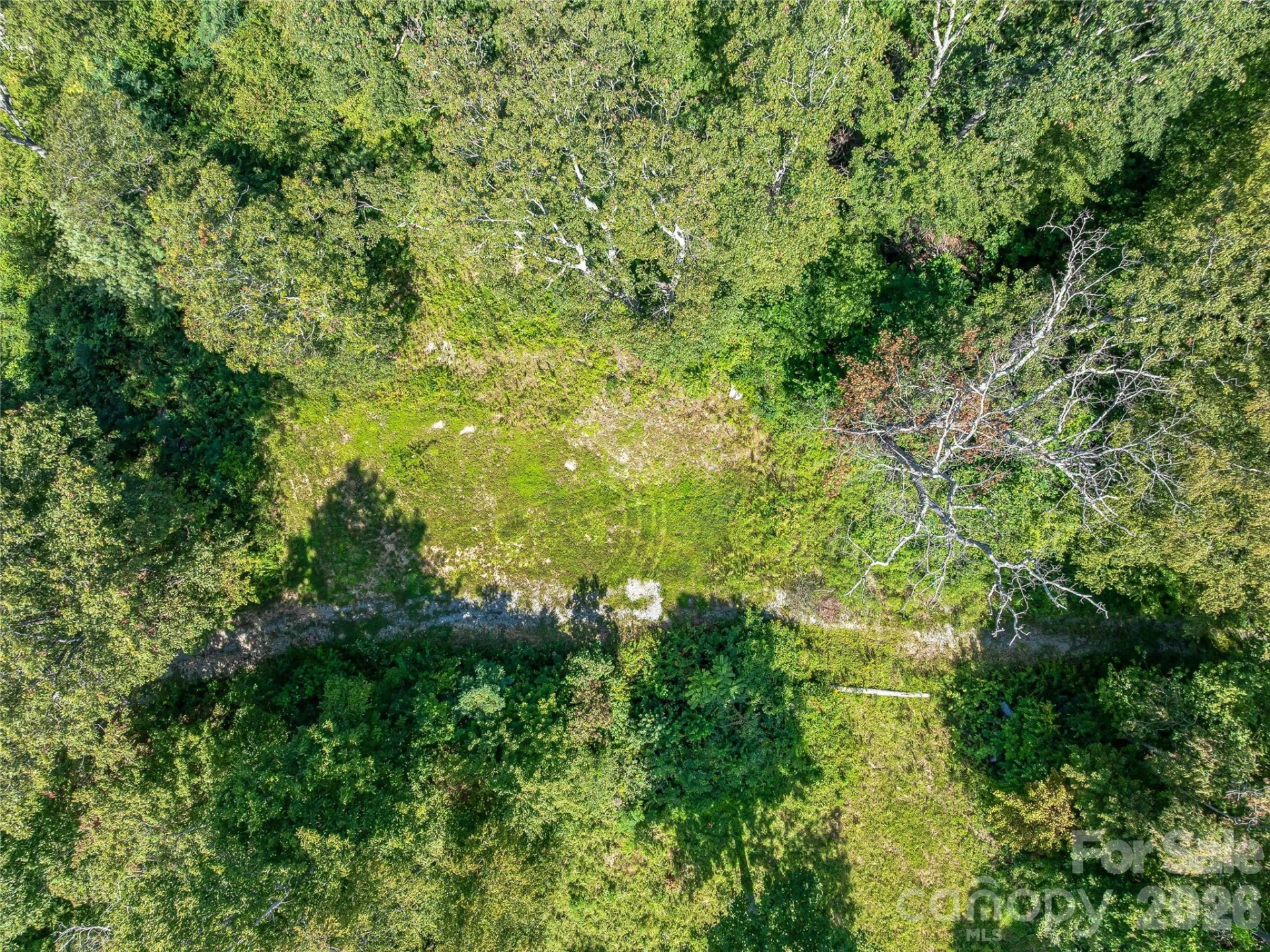 632 Justus Case Mountain Place - Photo 9