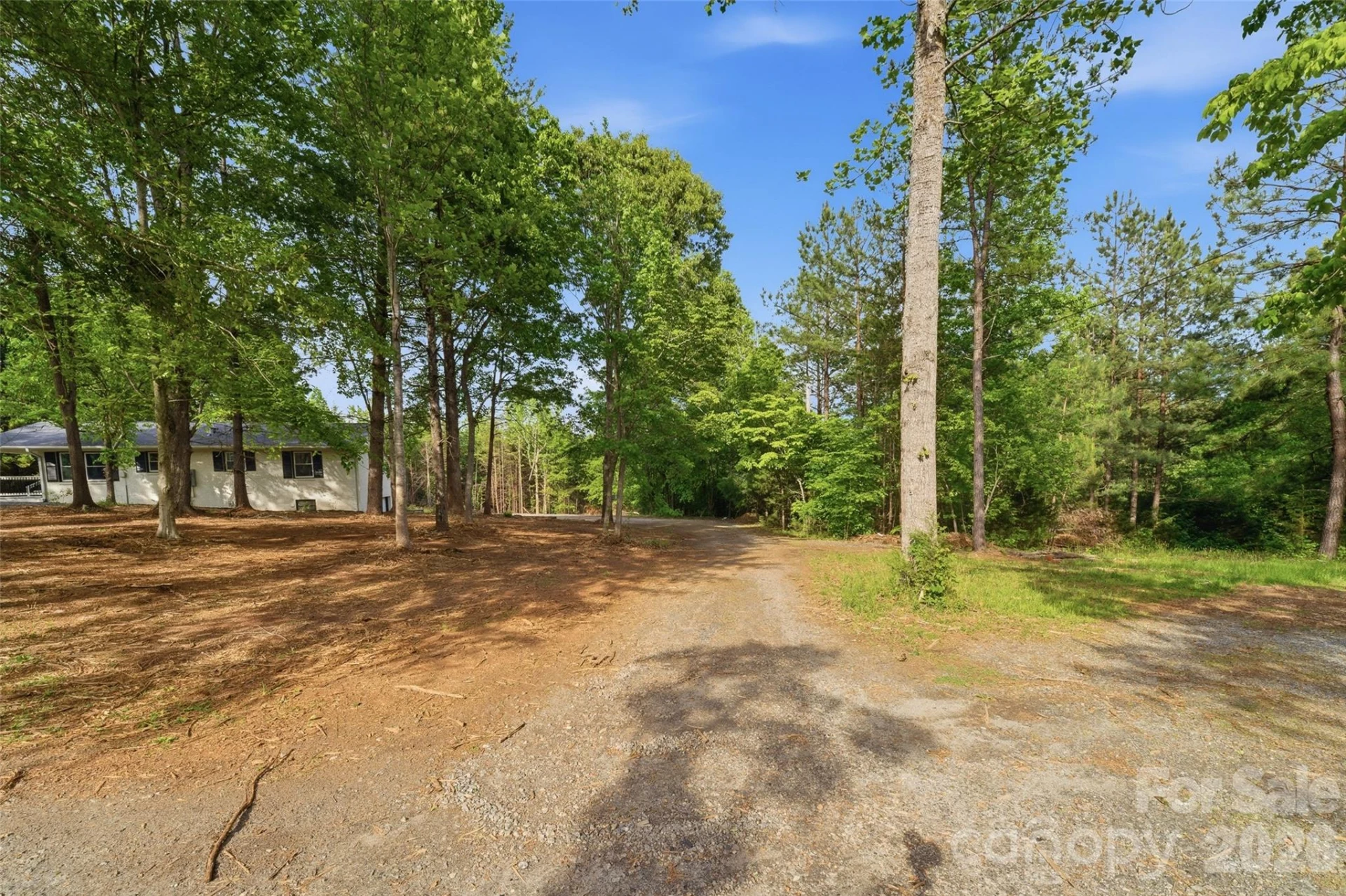1335 Little Mountain Road - Photo 34