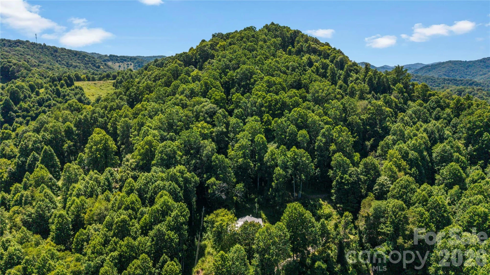 2879 Chandler Creek Road - Photo 33