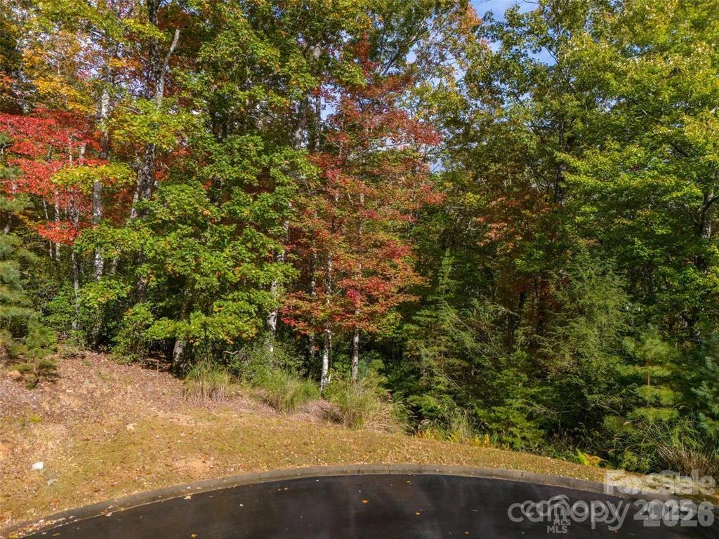 99999 Caddis Lane #91 - Photo 2