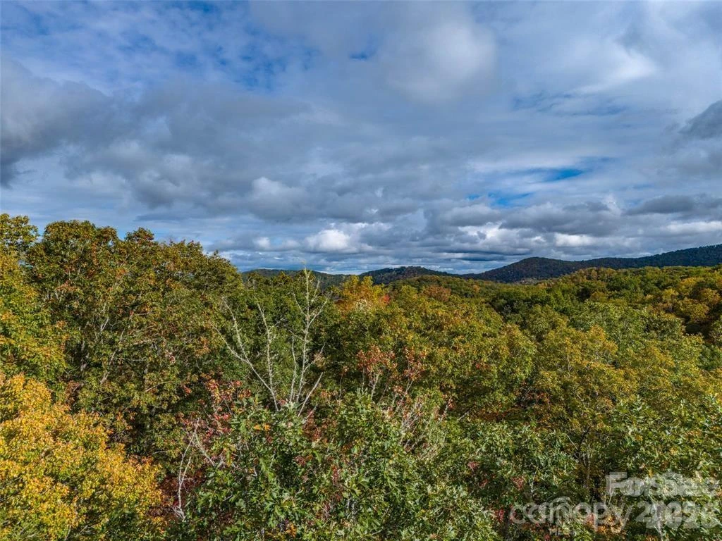 99999 Caddis Lane #91 - Photo 5