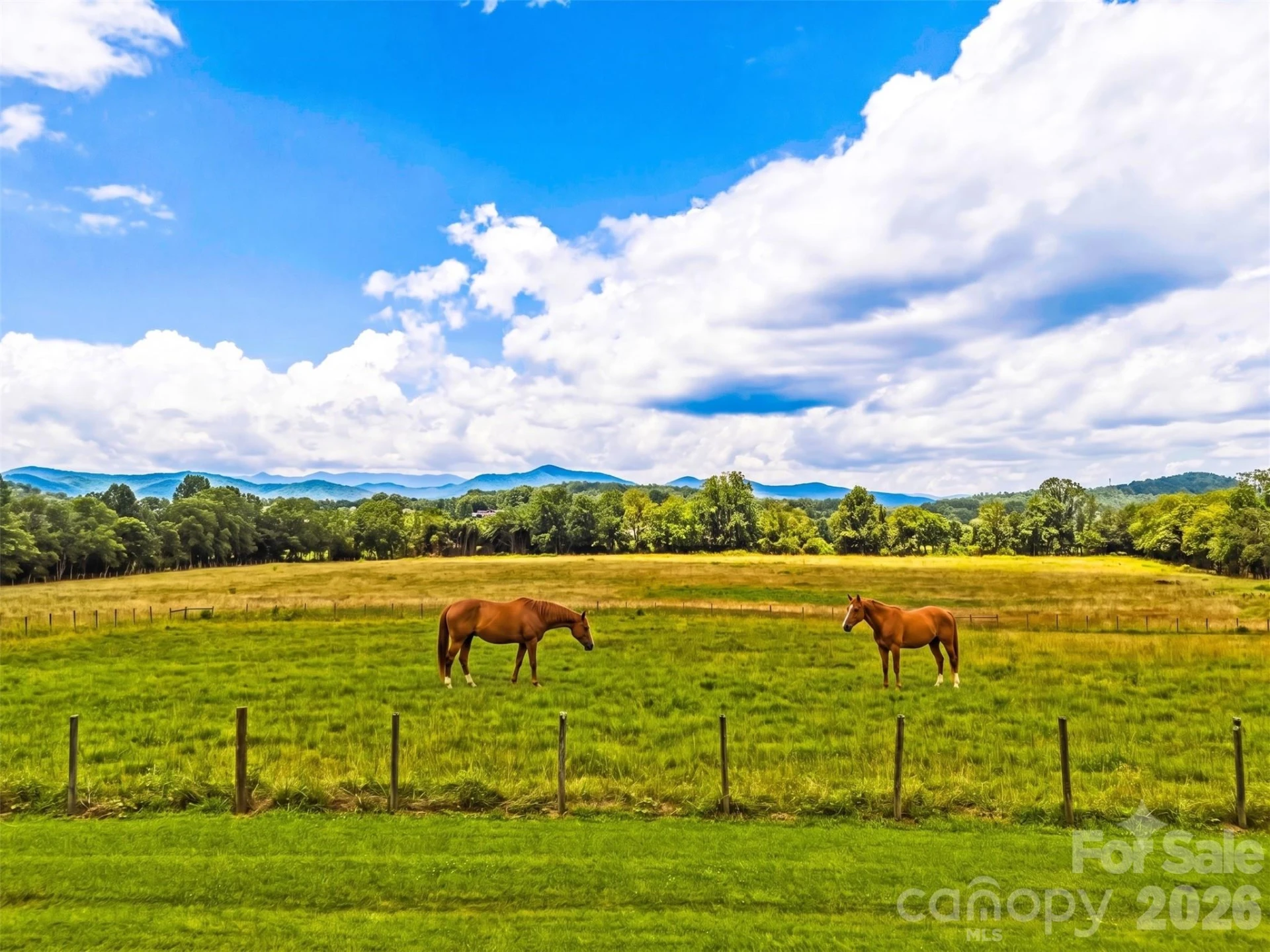 280 Walnut Hollow Road - Photo 41