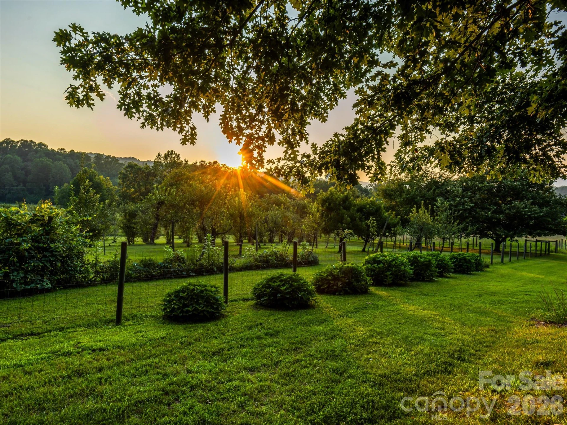 280 Walnut Hollow Road - Photo 44
