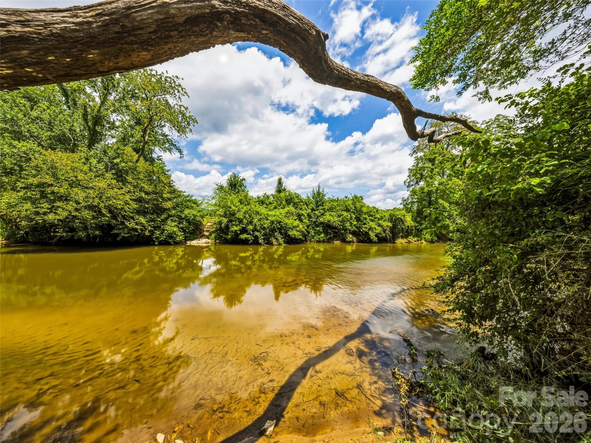 280 Walnut Hollow Road - Photo 46