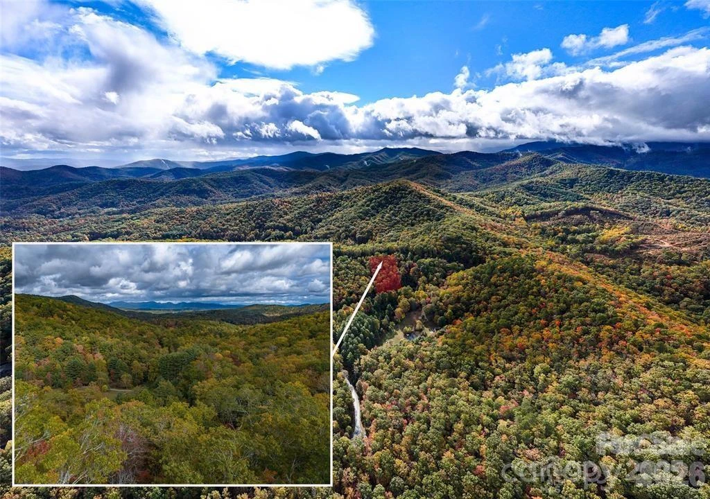 99999 Mills River Way #Lot 107