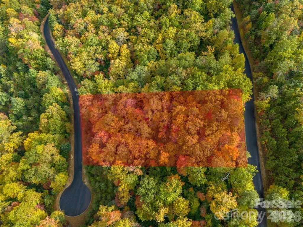99999 Mills River Way #Lot 107 - Photo 2