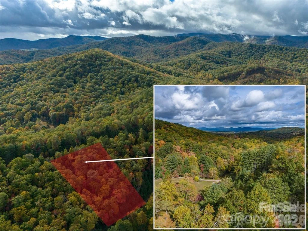 99999 Mills River Way #Lot 107 - Photo 3