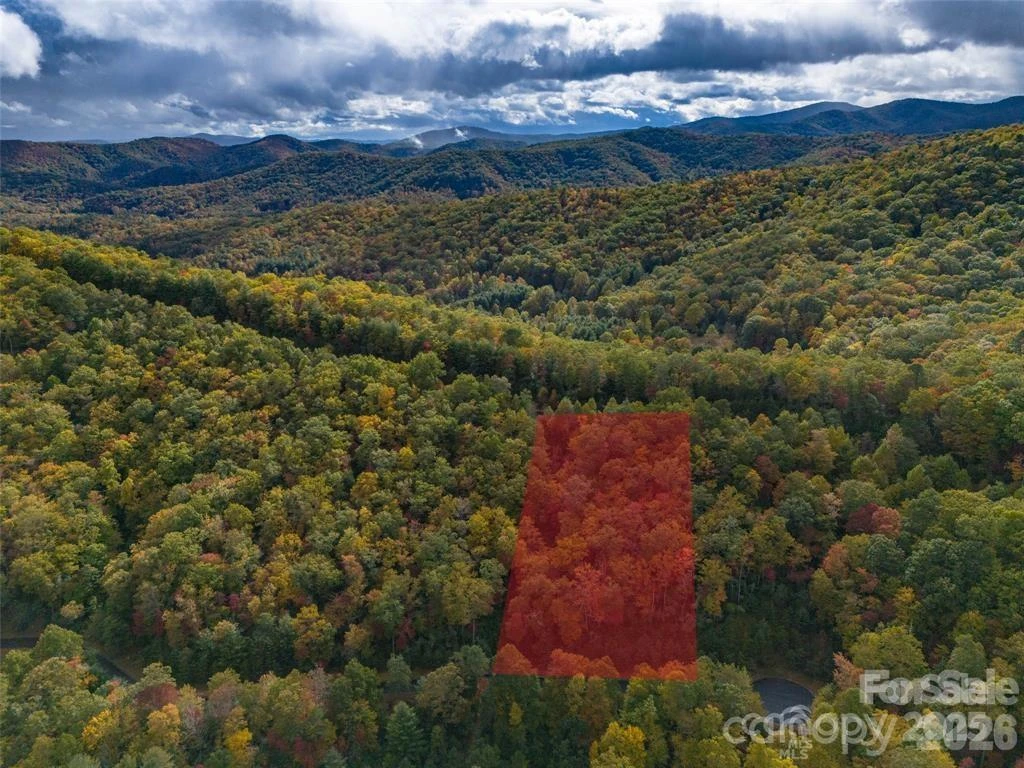 99999 Mills River Way #Lot 107 - Photo 4