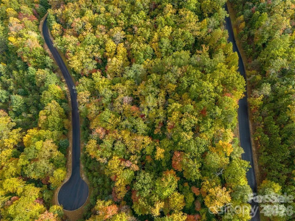 99999 Mills River Way #Lot 107 - Photo 5