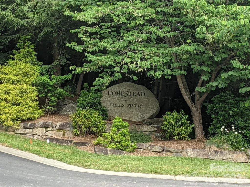 99999 Mills River Way #Lot 107 - Photo 6
