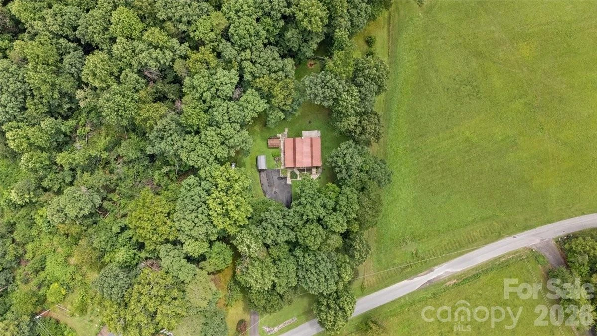 371 Patton Valley Drive - Photo 4