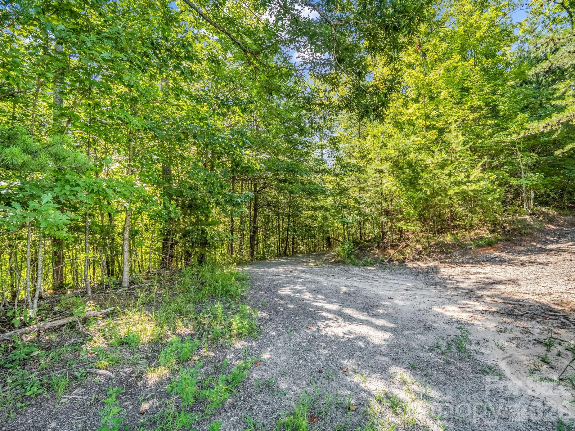 Lot 30 High Rock Ridge #30 - Photo 12