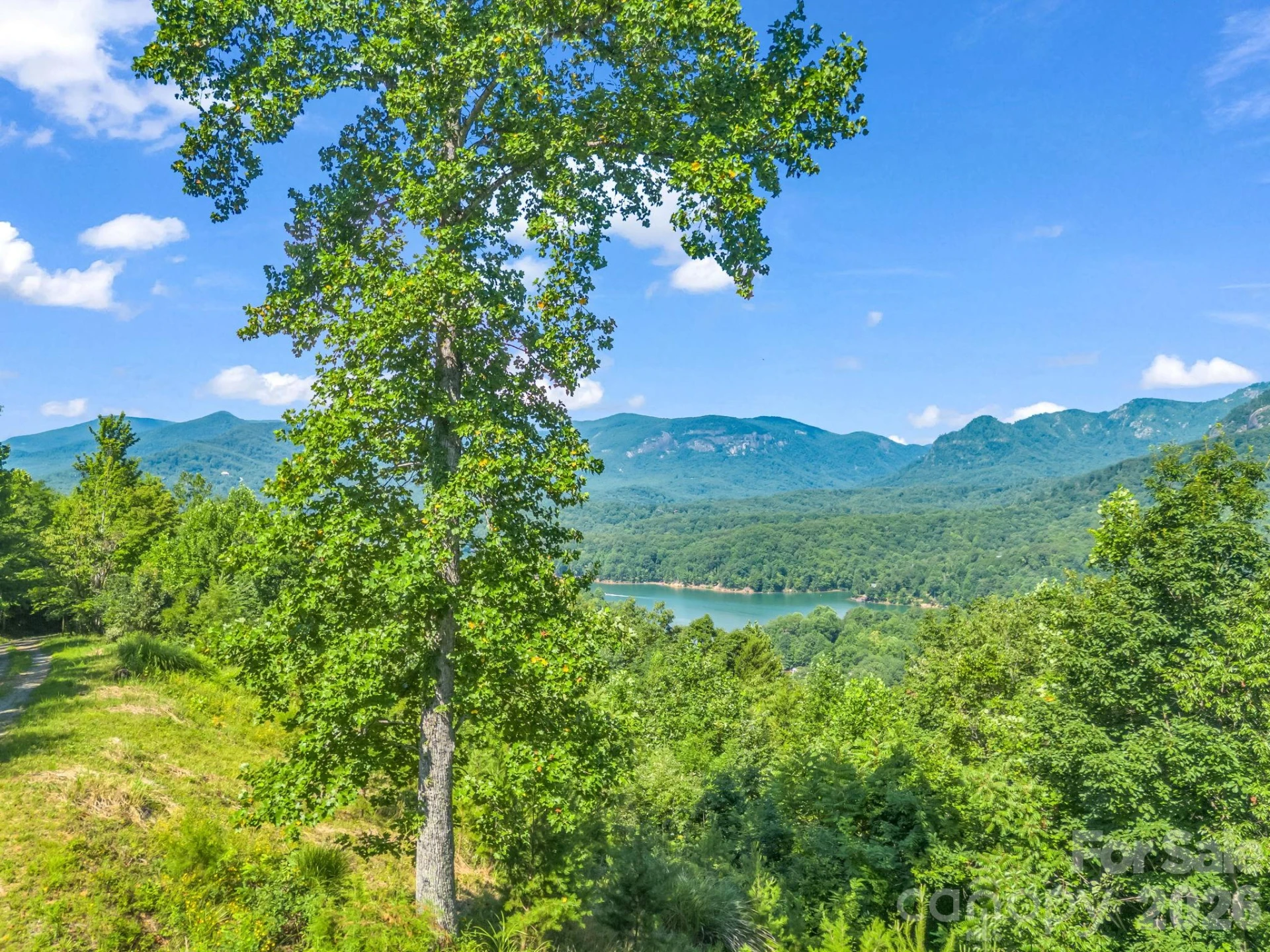 Lot 30 High Rock Ridge #30 - Photo 14