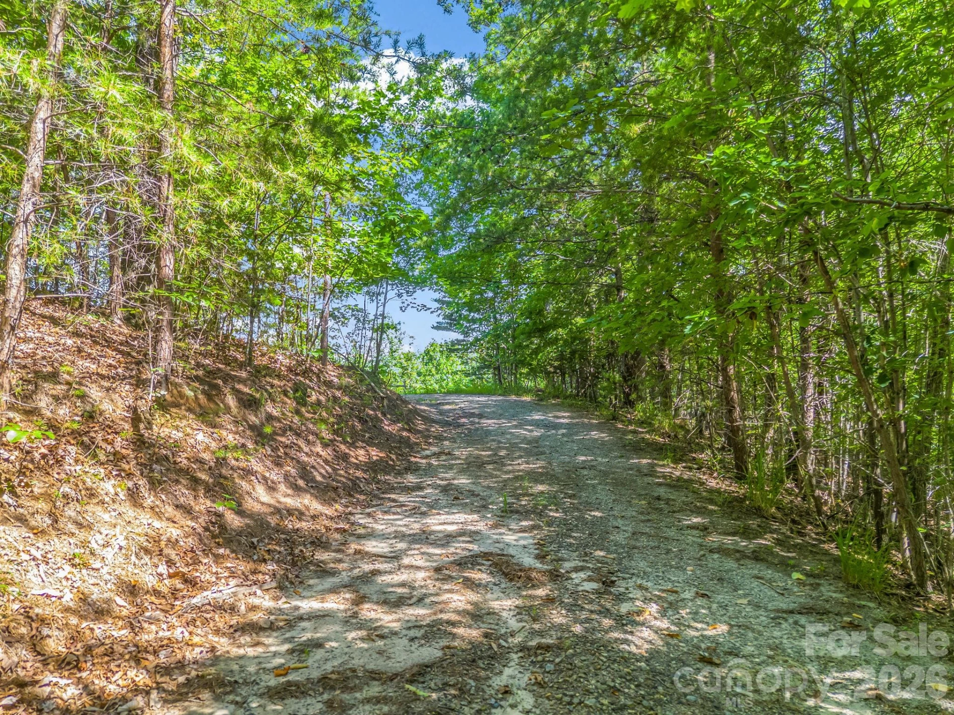 Lot 30 High Rock Ridge #30 - Photo 18