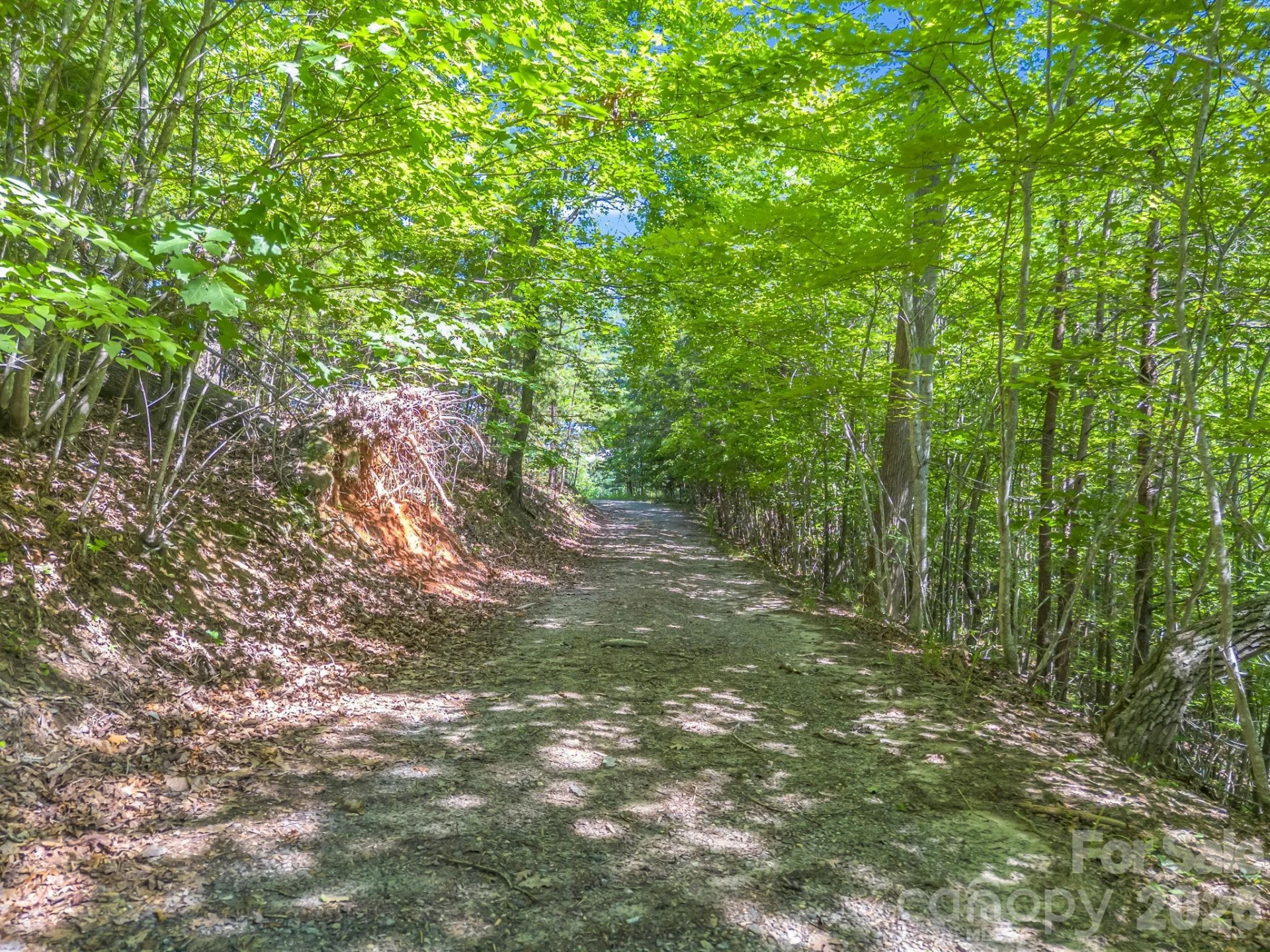 Lot 30 High Rock Ridge #30 - Photo 19