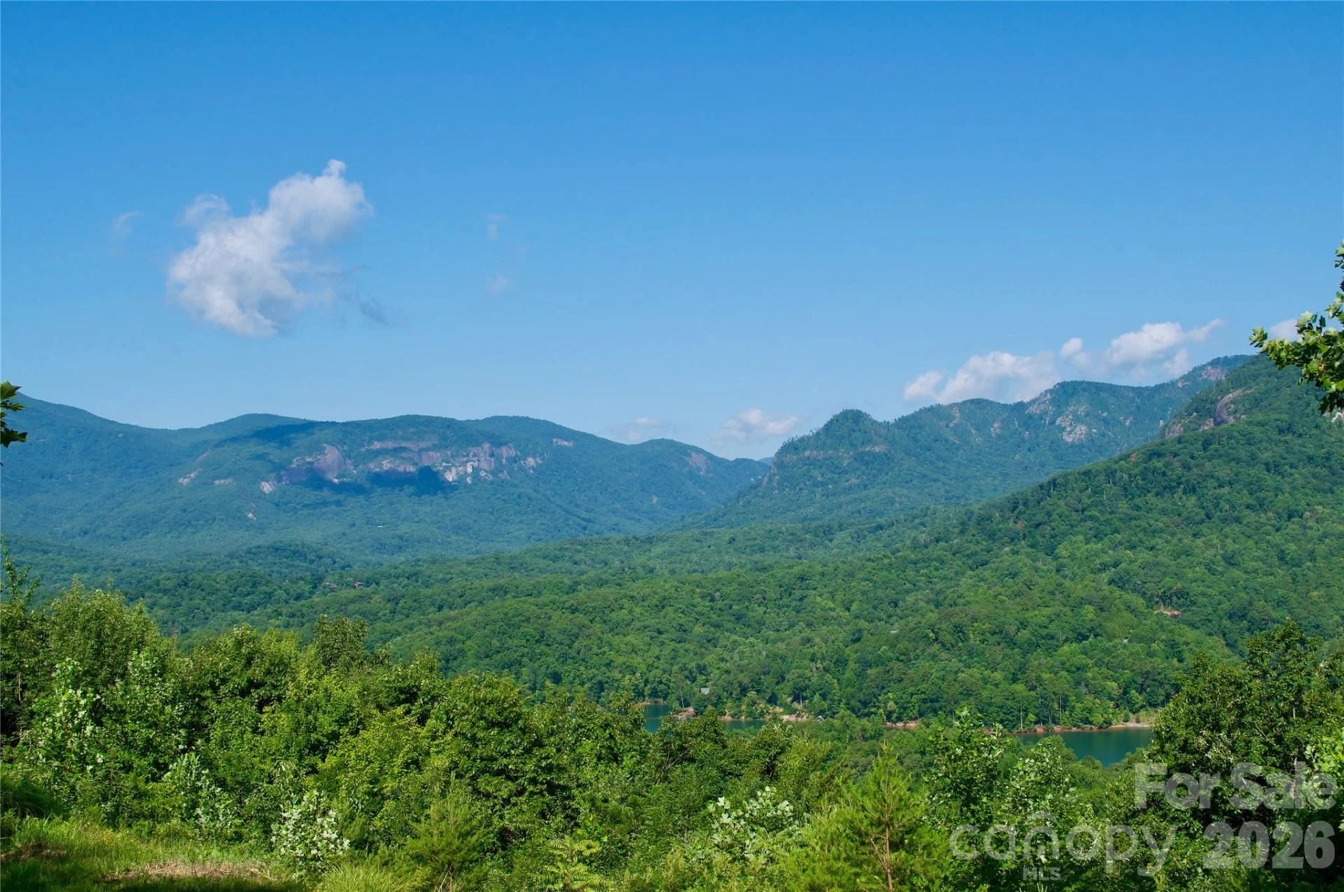 Lot 30 High Rock Ridge #30 - Photo 3