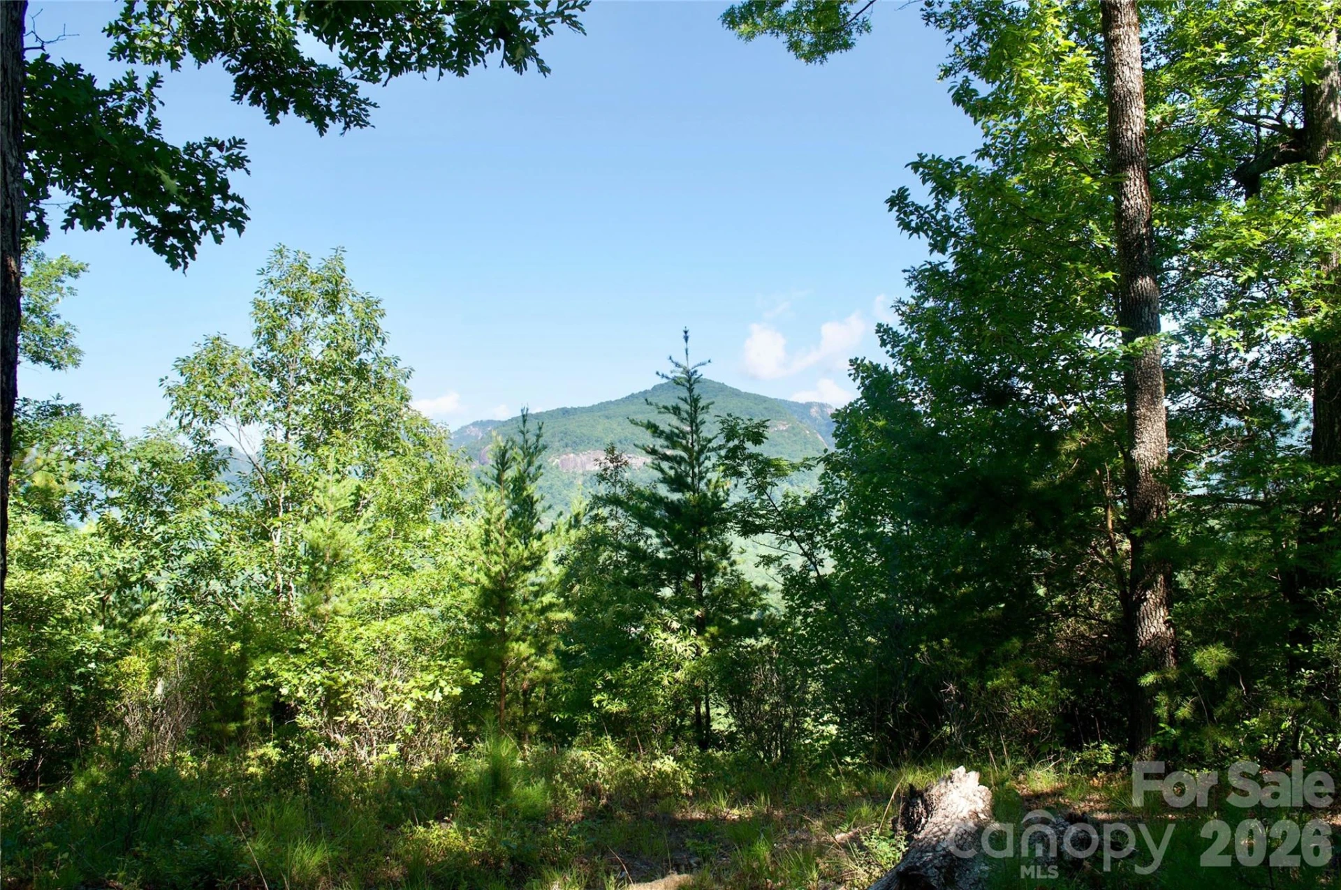 Lot 30 High Rock Ridge #30 - Photo 24