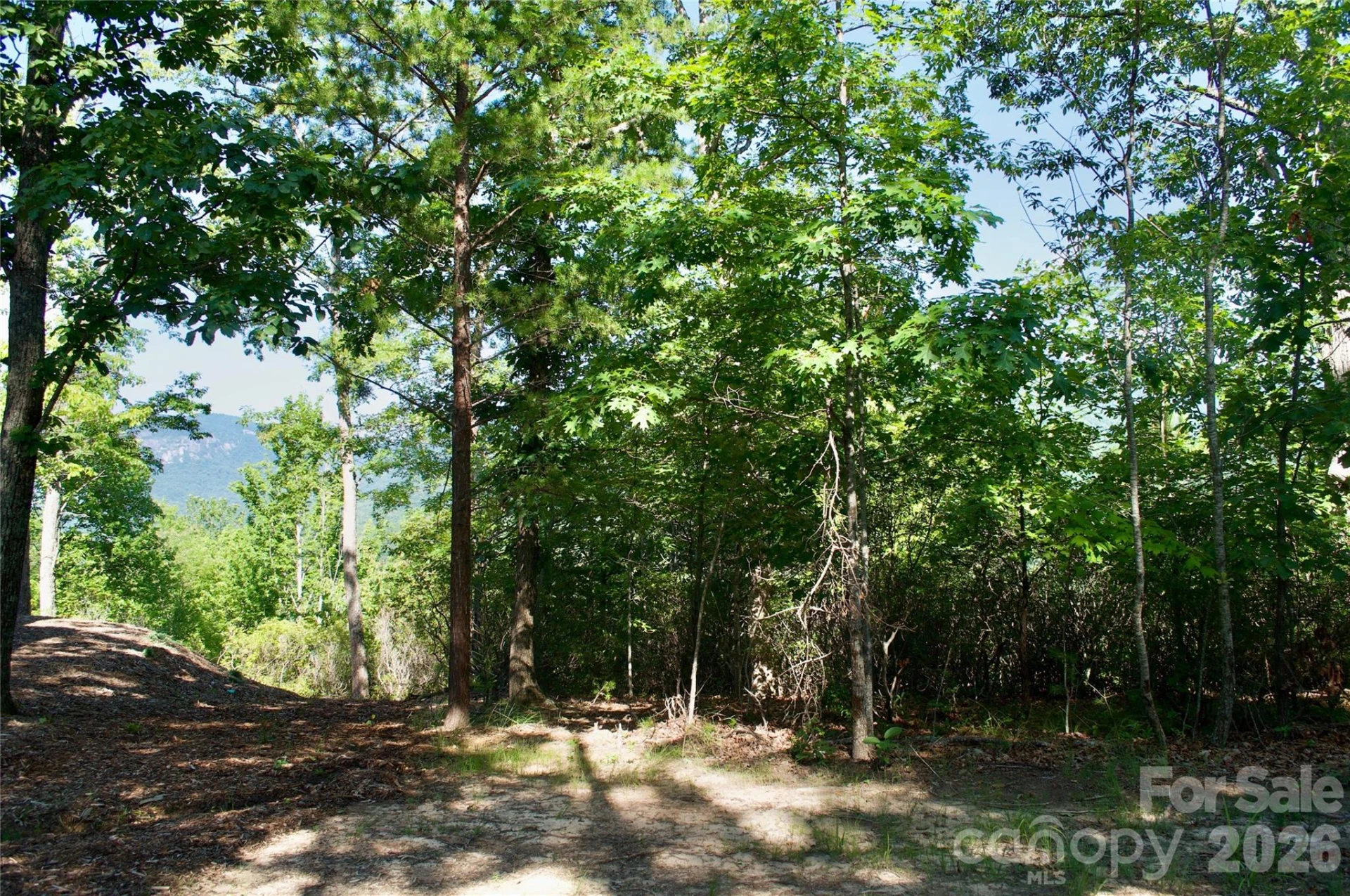 Lot 30 High Rock Ridge #30 - Photo 25