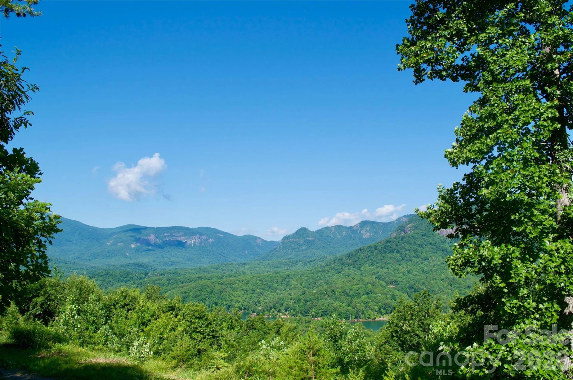 Lot 30 High Rock Ridge #30 - Photo 6