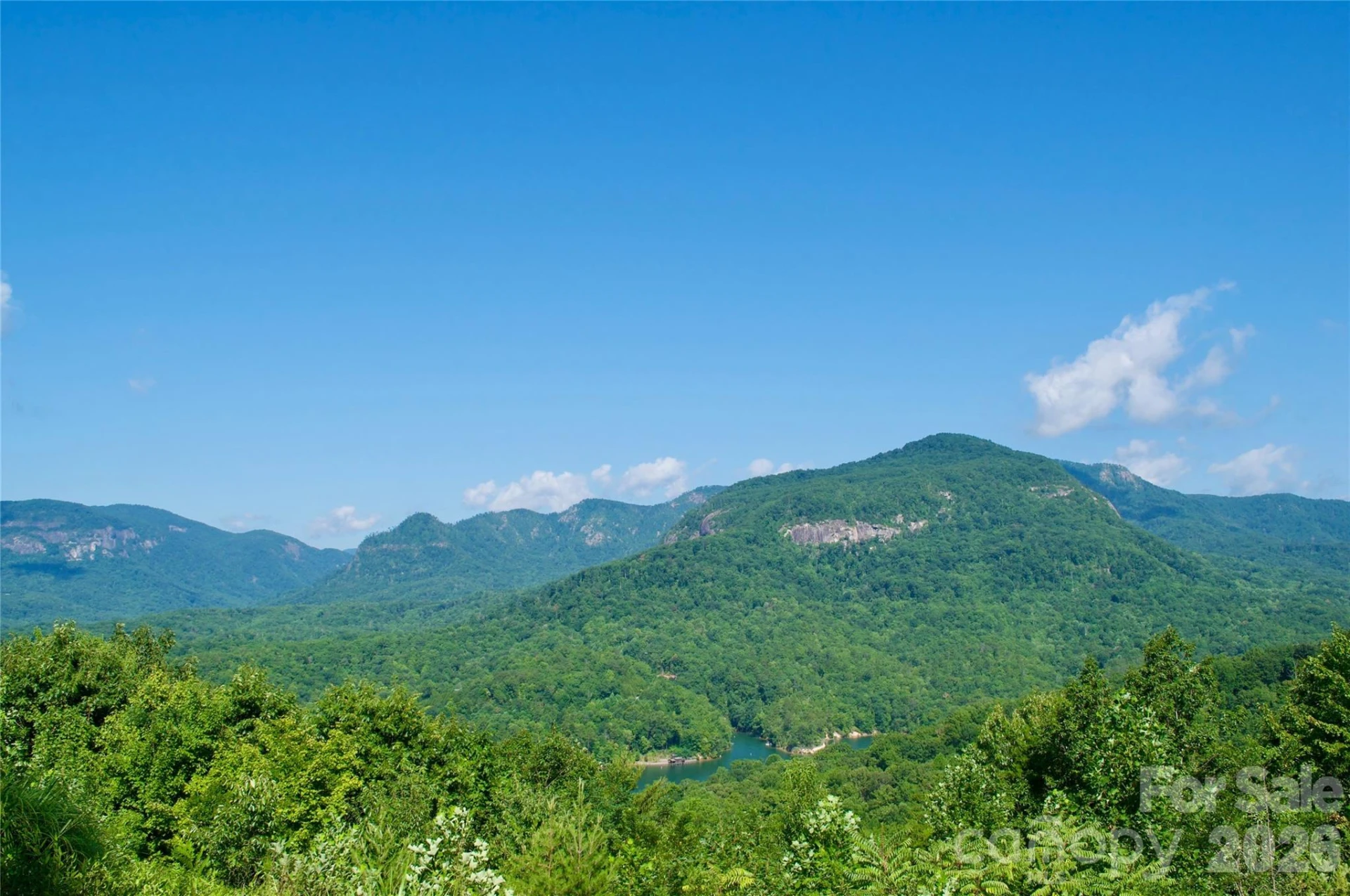 Lot 30 High Rock Ridge #30 - Photo 8
