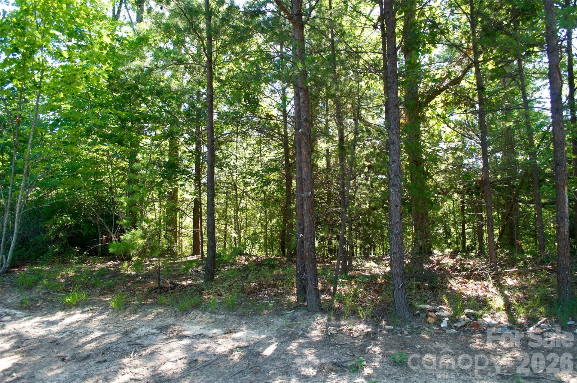 Lot 30 High Rock Ridge #30 - Photo 9