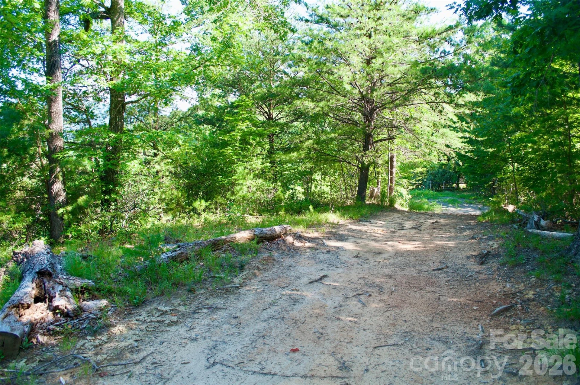Lot 30 High Rock Ridge #30 - Photo 10