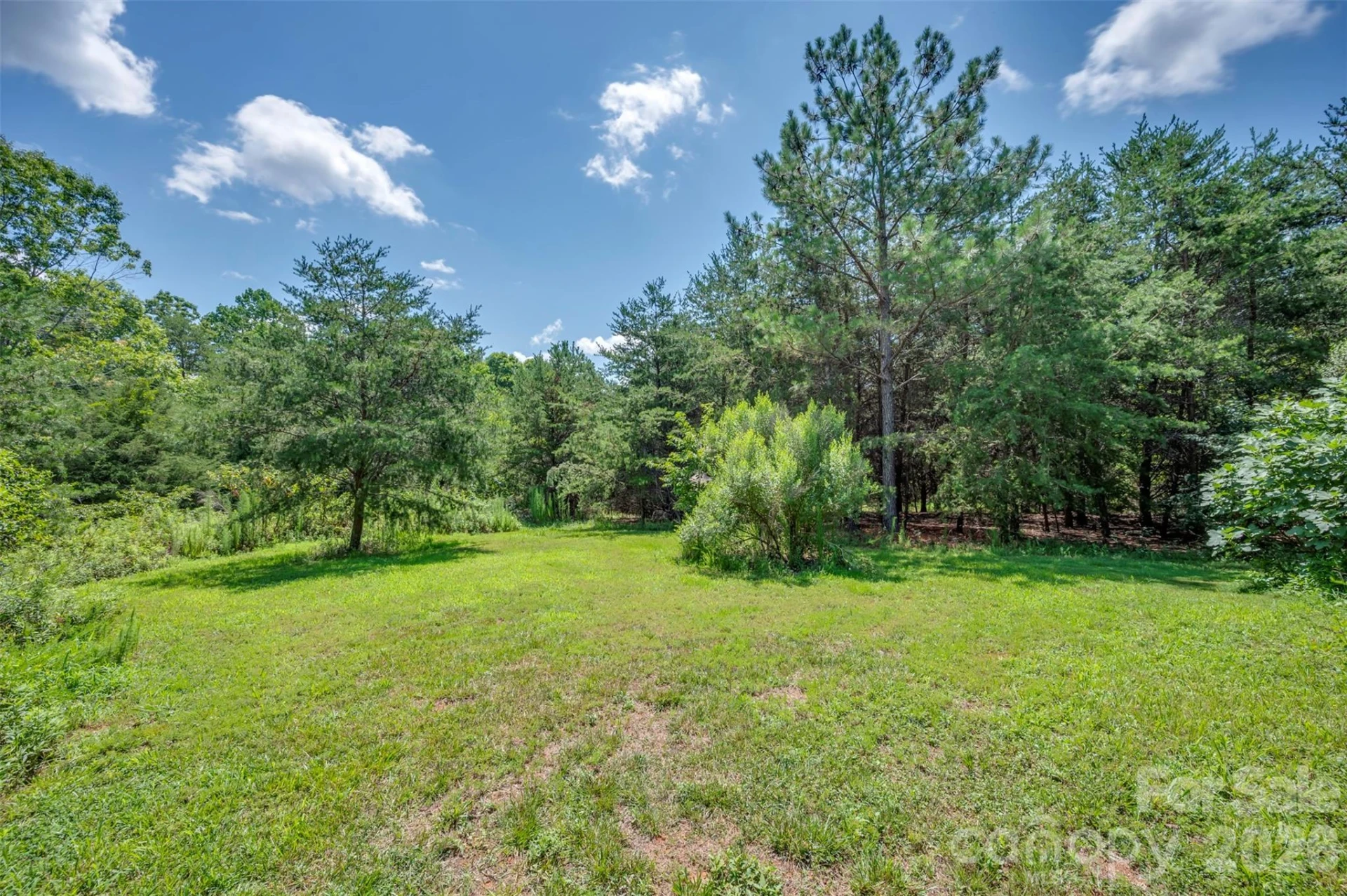 340 Right Prong Road - Photo 21