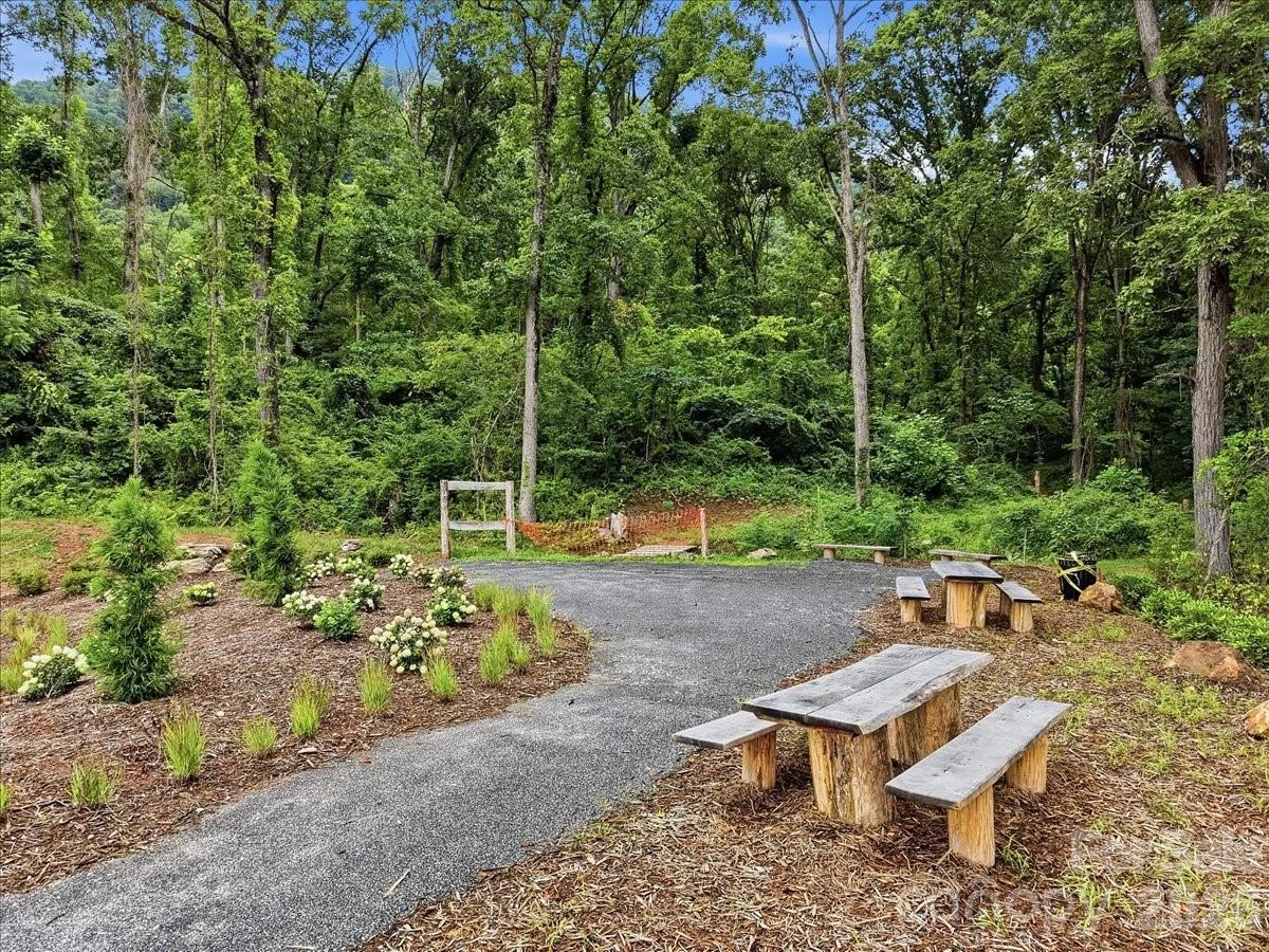 234 Smokey Holler Drive - Photo 16