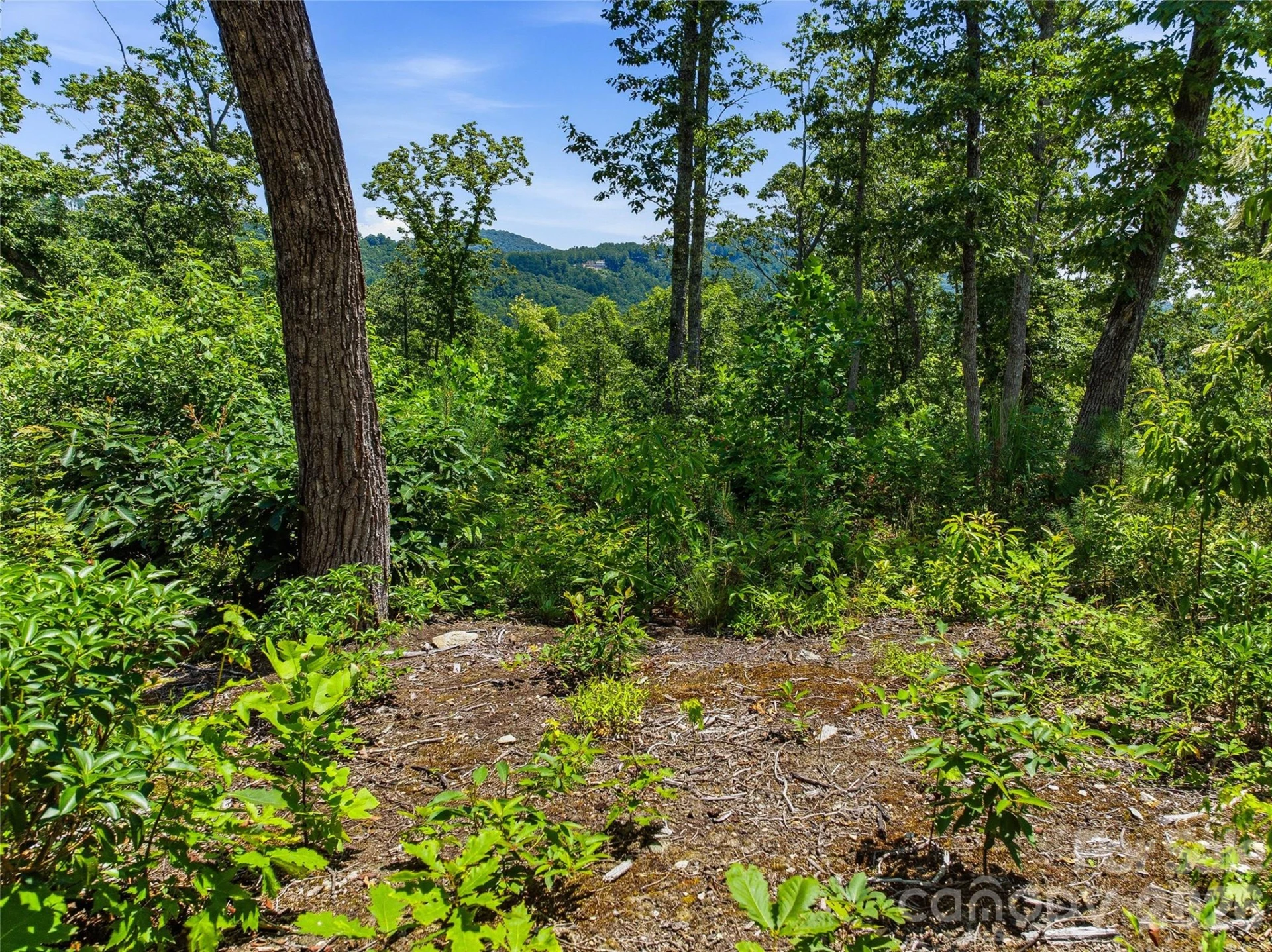 58 Mountain Grove Lane - Photo 23