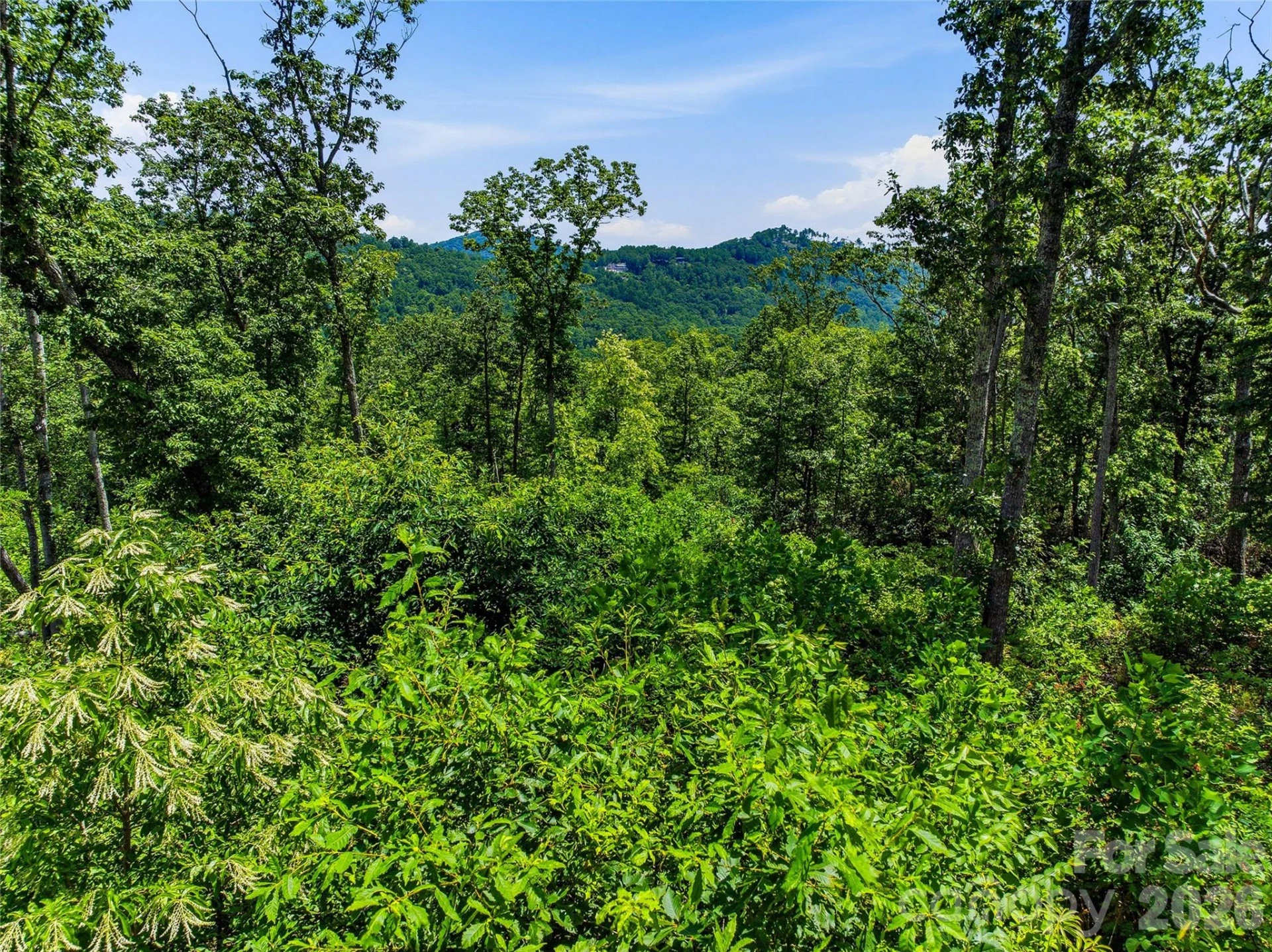 58 Mountain Grove Lane - Photo 24