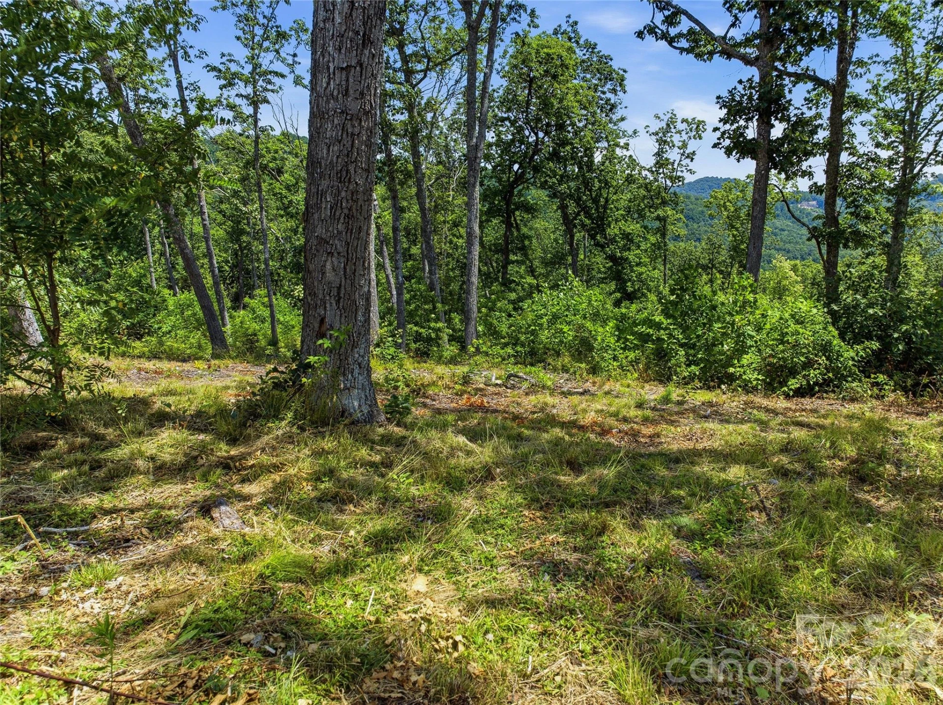 58 Mountain Grove Lane - Photo 25